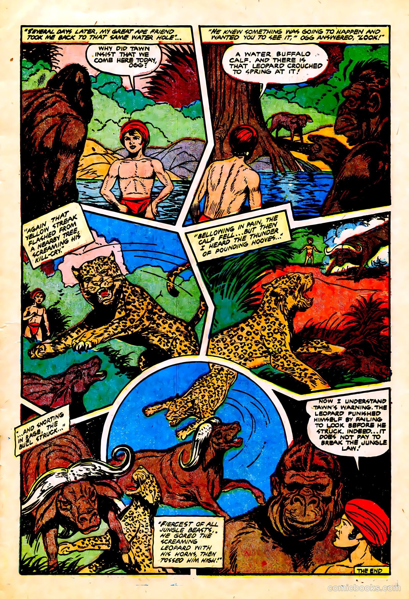 Wambi, Jungle Boy #13 — page 15 of 36