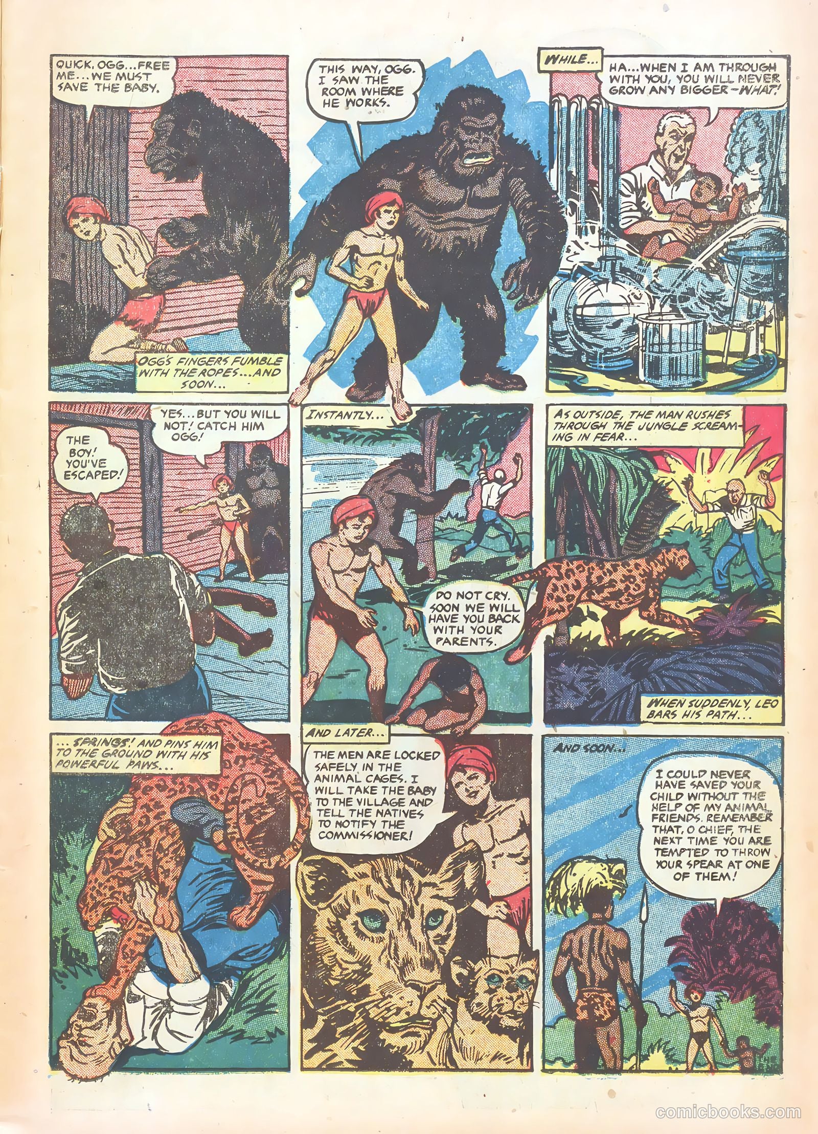 Wambi, Jungle Boy #15 — page 11 of 36