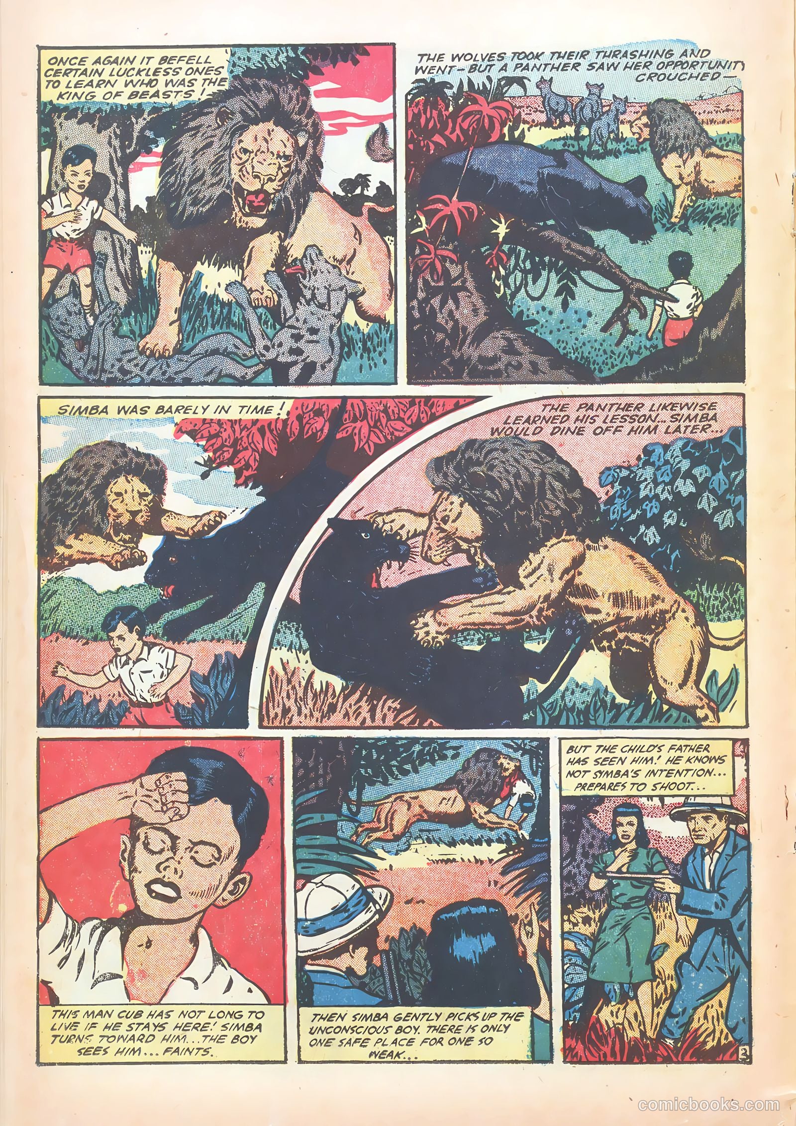 Wambi, Jungle Boy #15 — page 14 of 36