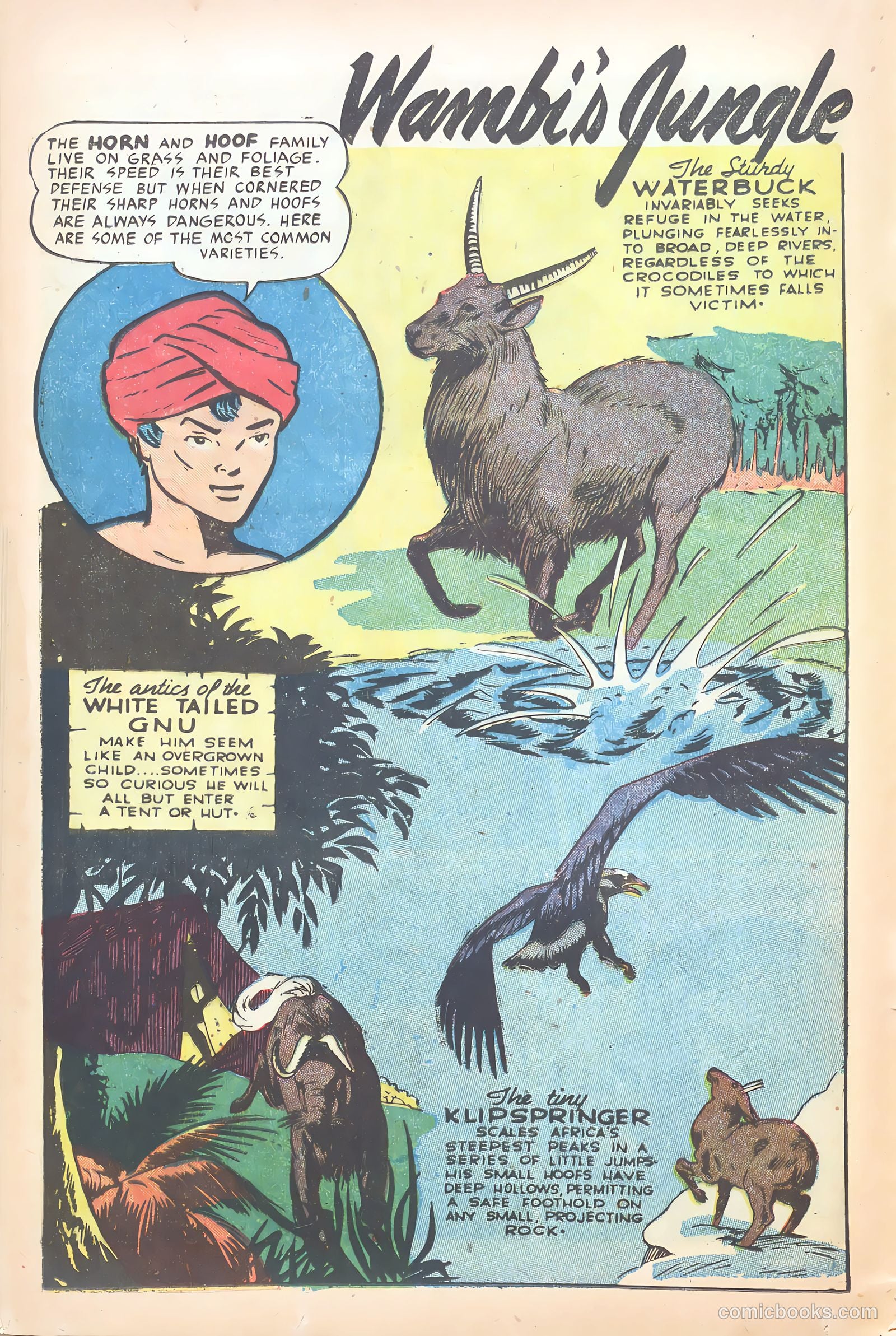 Wambi, Jungle Boy #15 — page 16 of 36