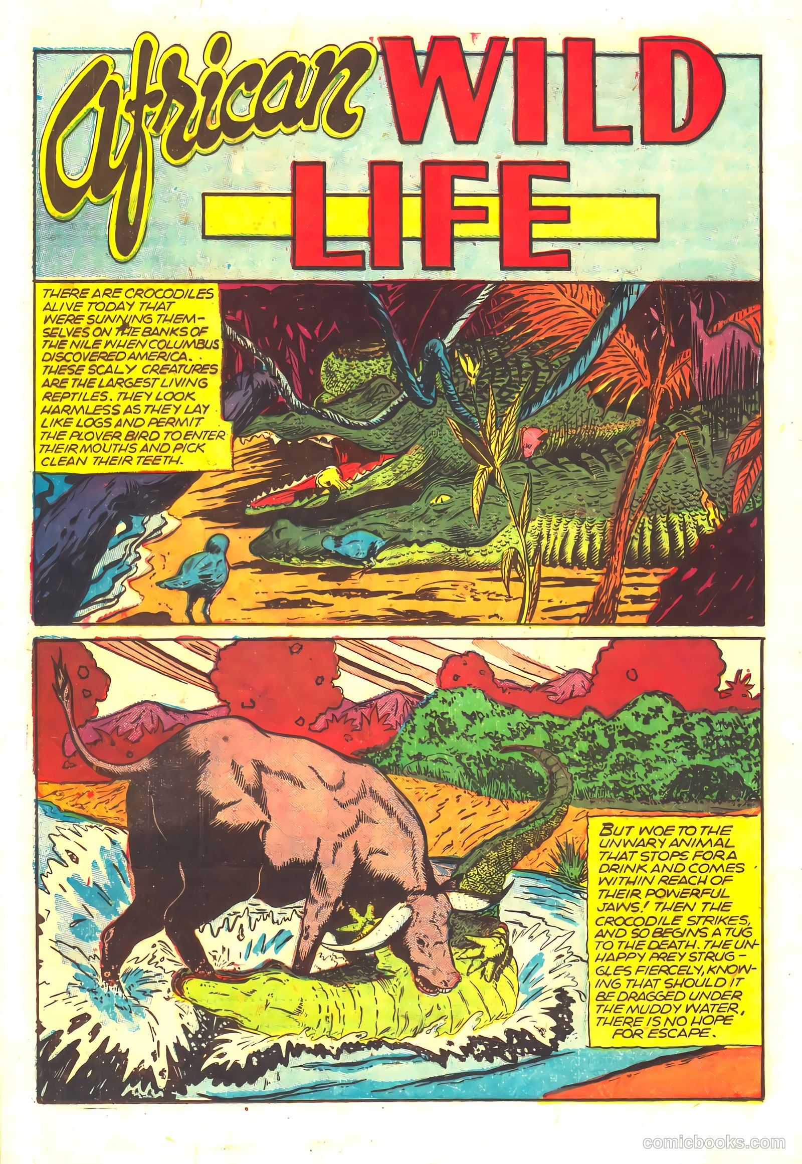 Wambi, Jungle Boy #16 — page 20 of 36