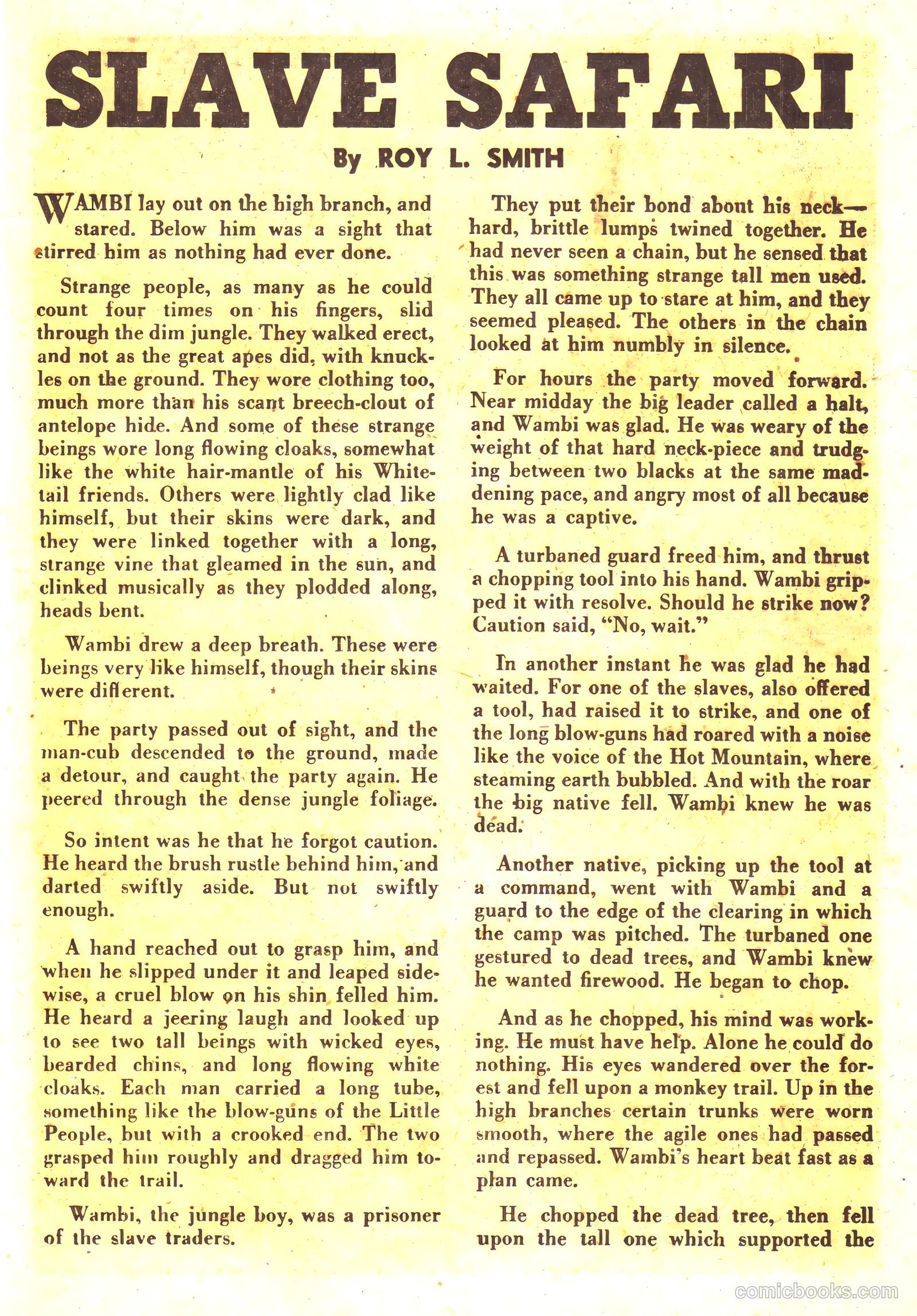 Wambi, Jungle Boy #16 — page 25 of 36