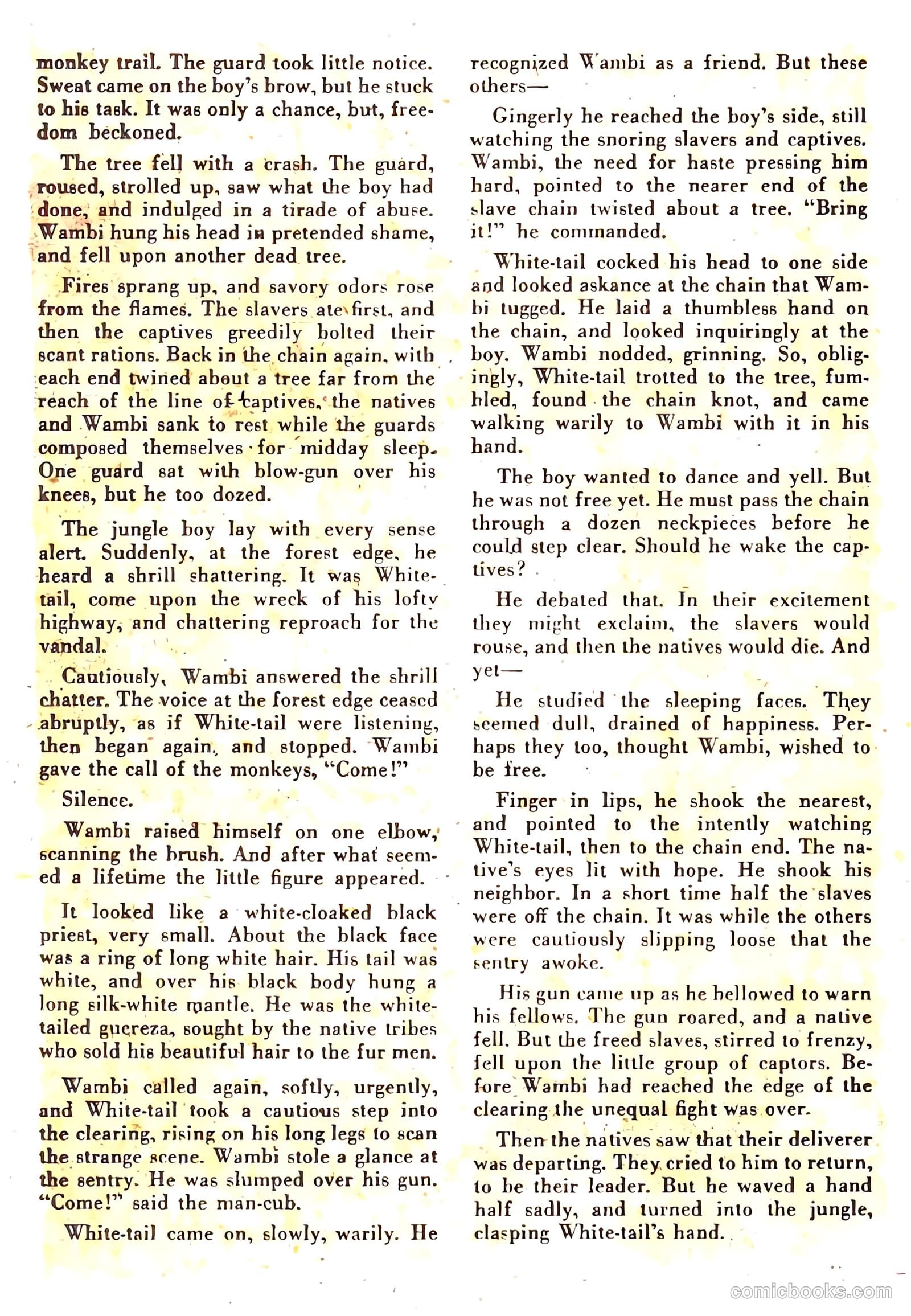 Wambi, Jungle Boy #16 — page 26 of 36