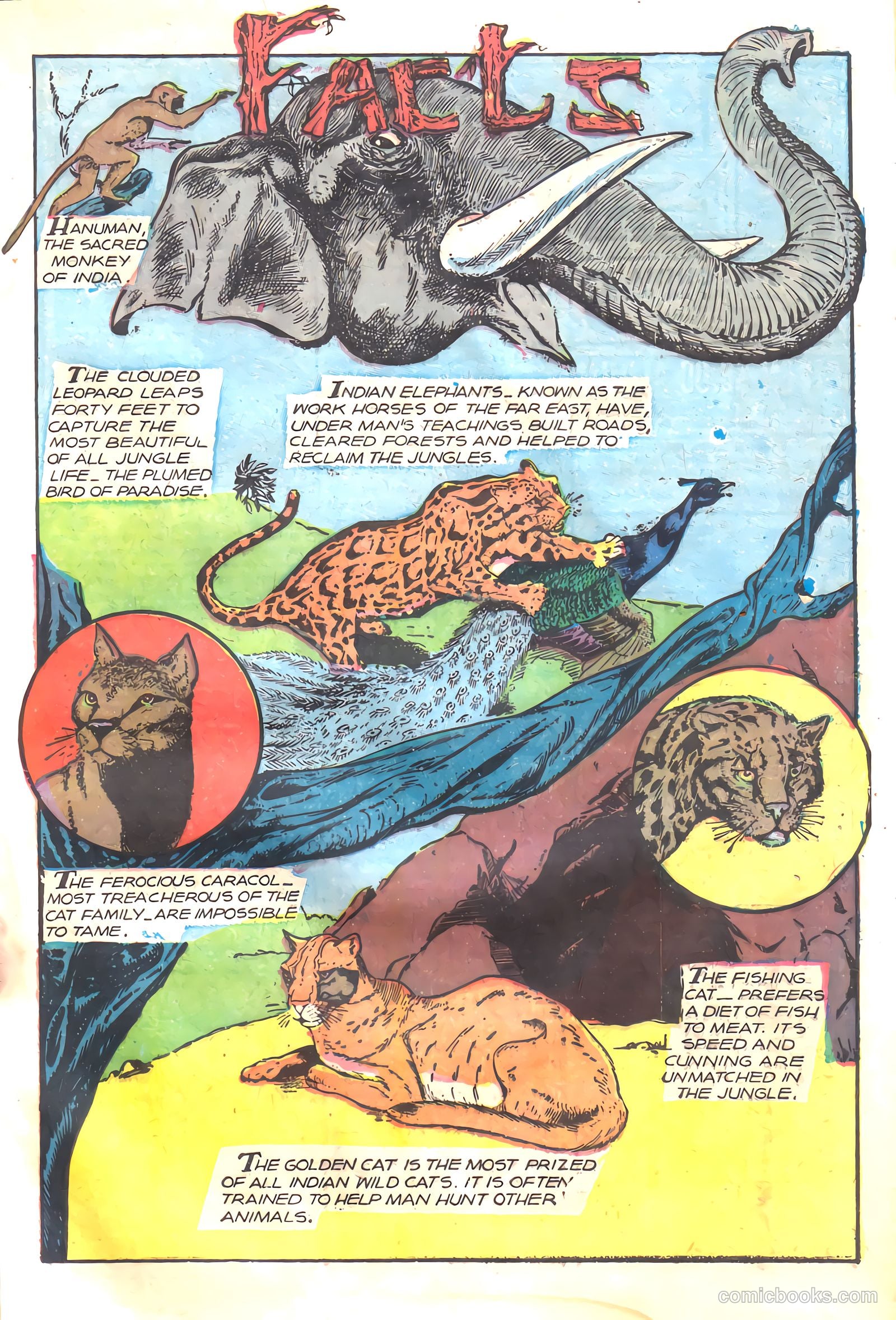Wambi, Jungle Boy #17 — page 17 of 36