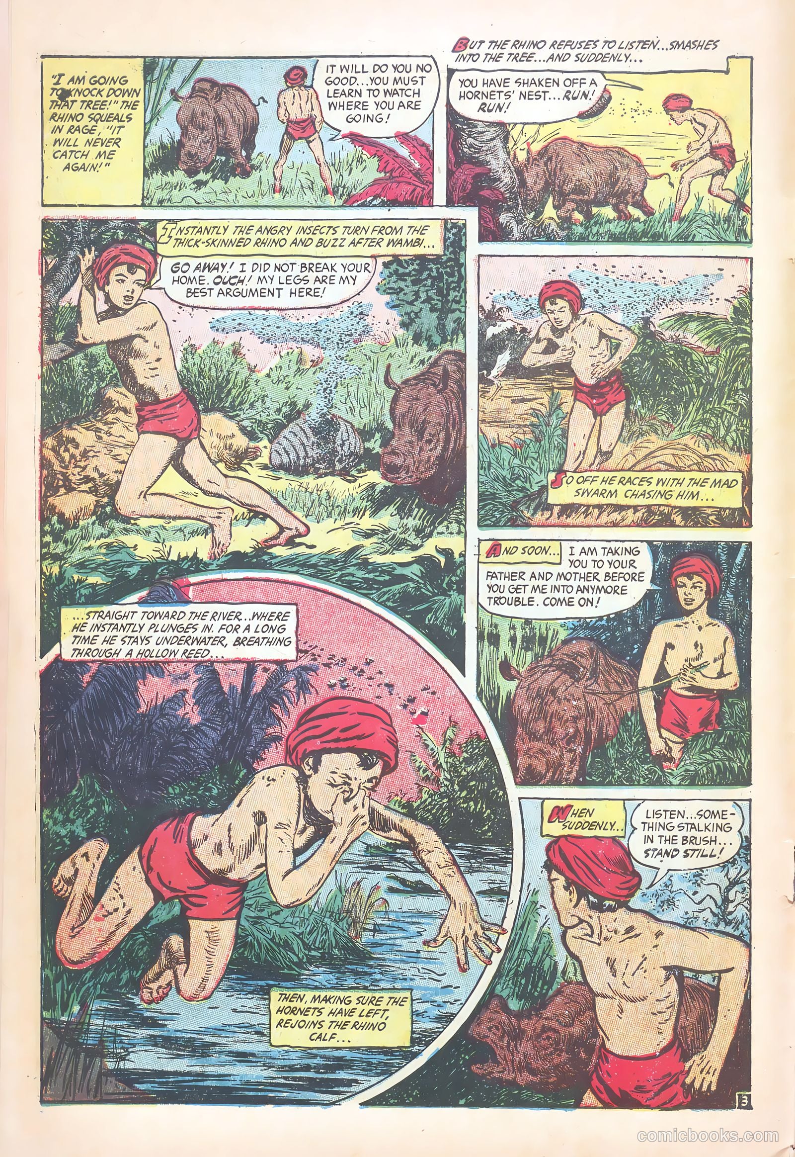 Wambi, Jungle Boy #18 — page 6 of 36