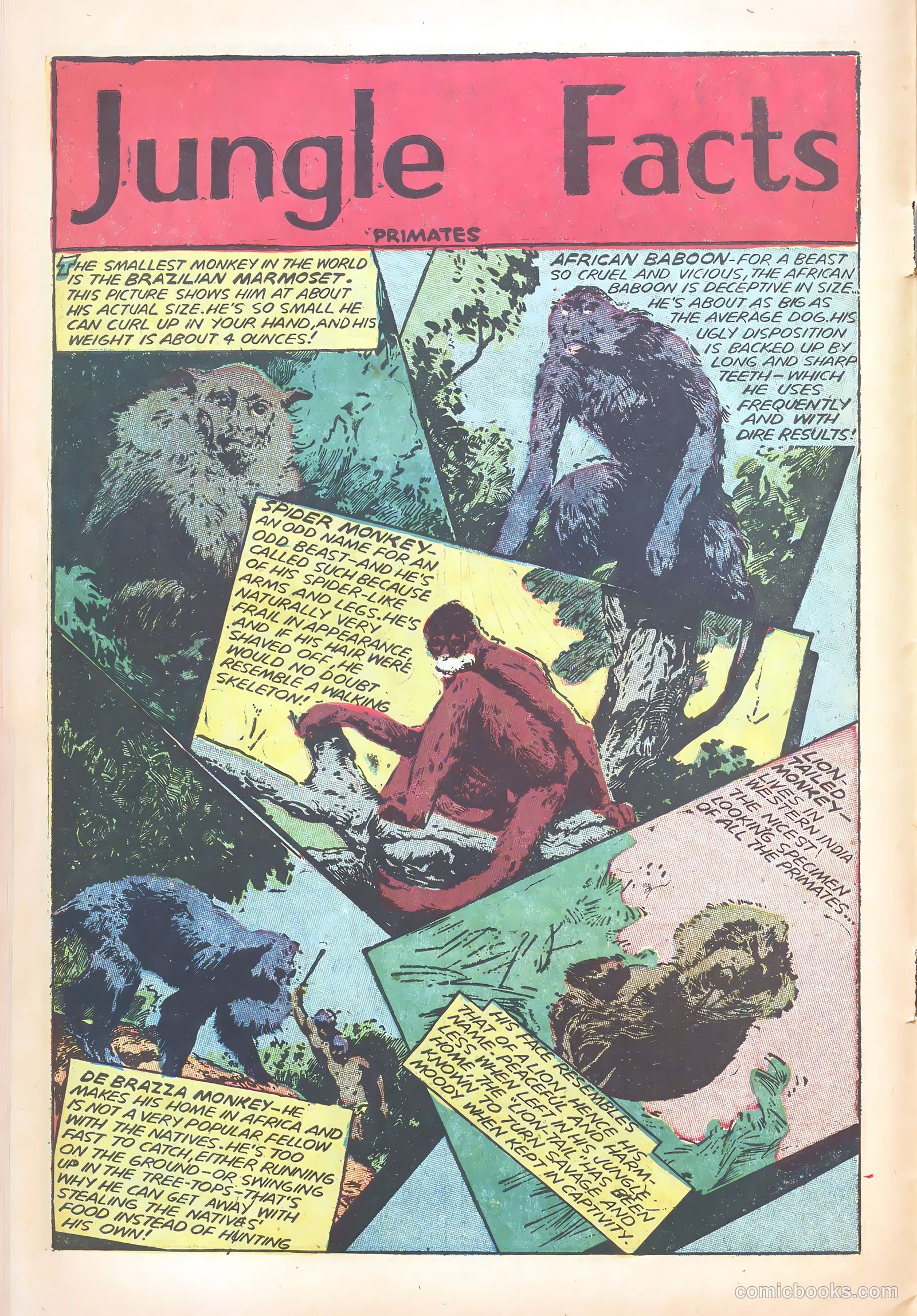Wambi, Jungle Boy #18 — page 10 of 36