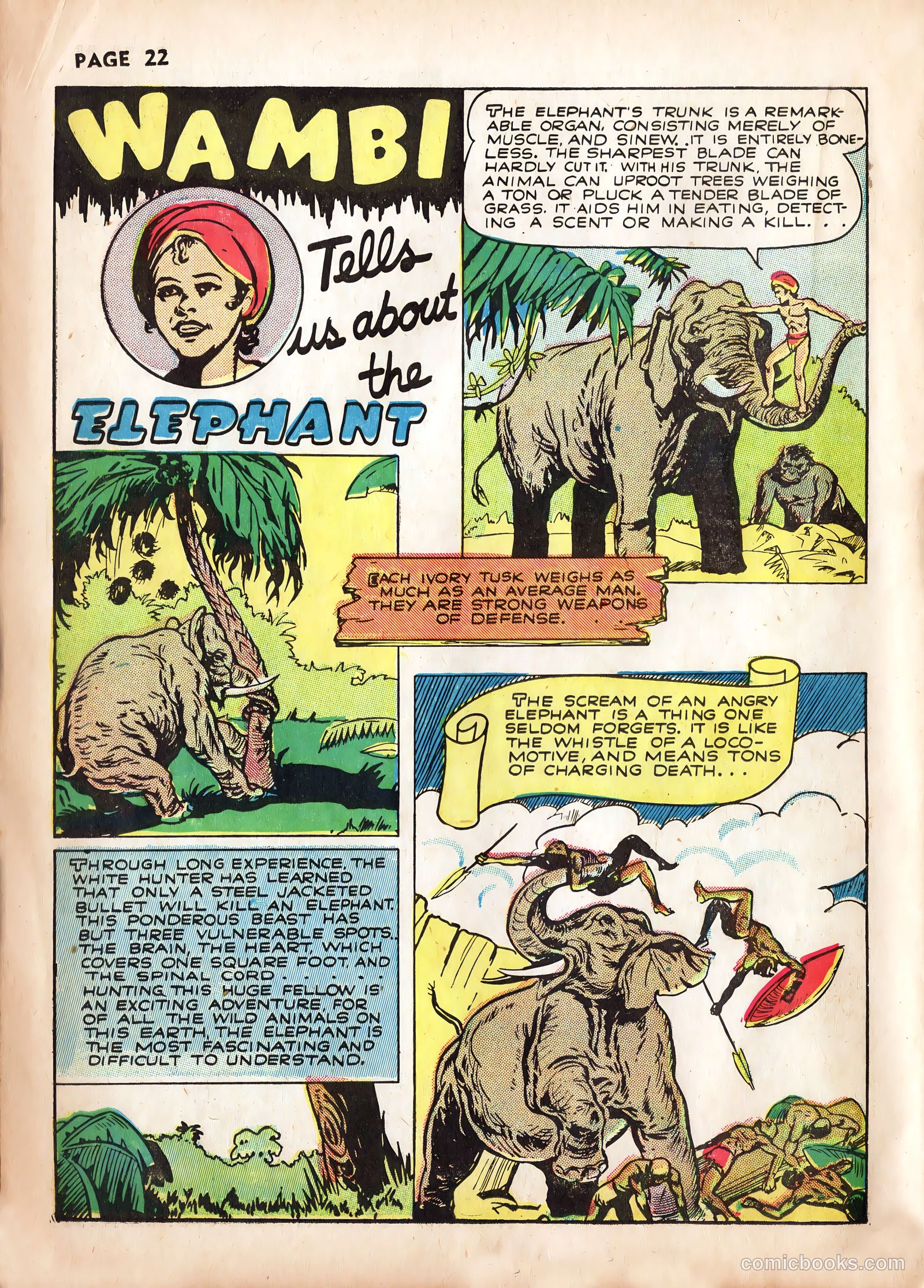 Wambi, Jungle Boy #2 — page 24 of 68