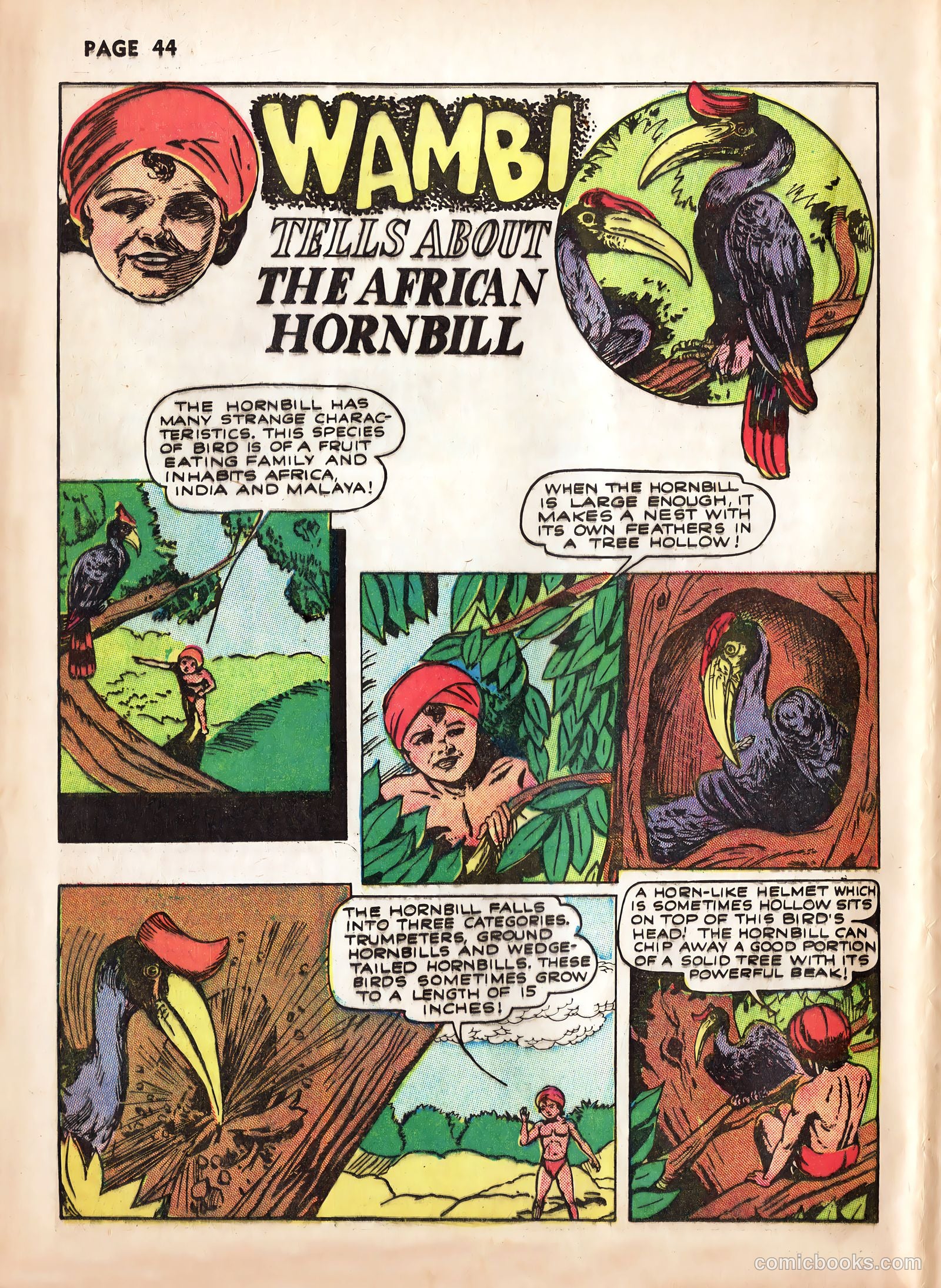 Wambi, Jungle Boy #2 — page 46 of 68