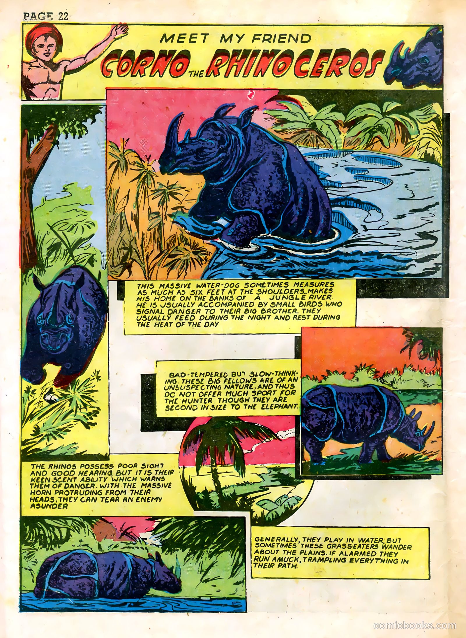 Wambi, Jungle Boy #3 — page 24 of 68