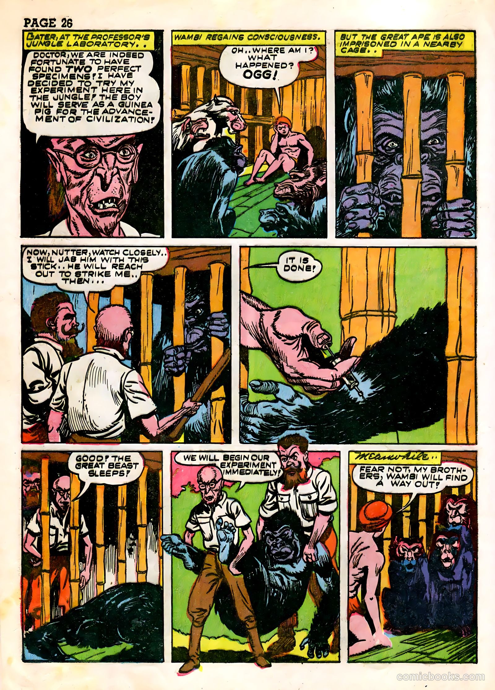 Wambi, Jungle Boy #3 — page 28 of 68