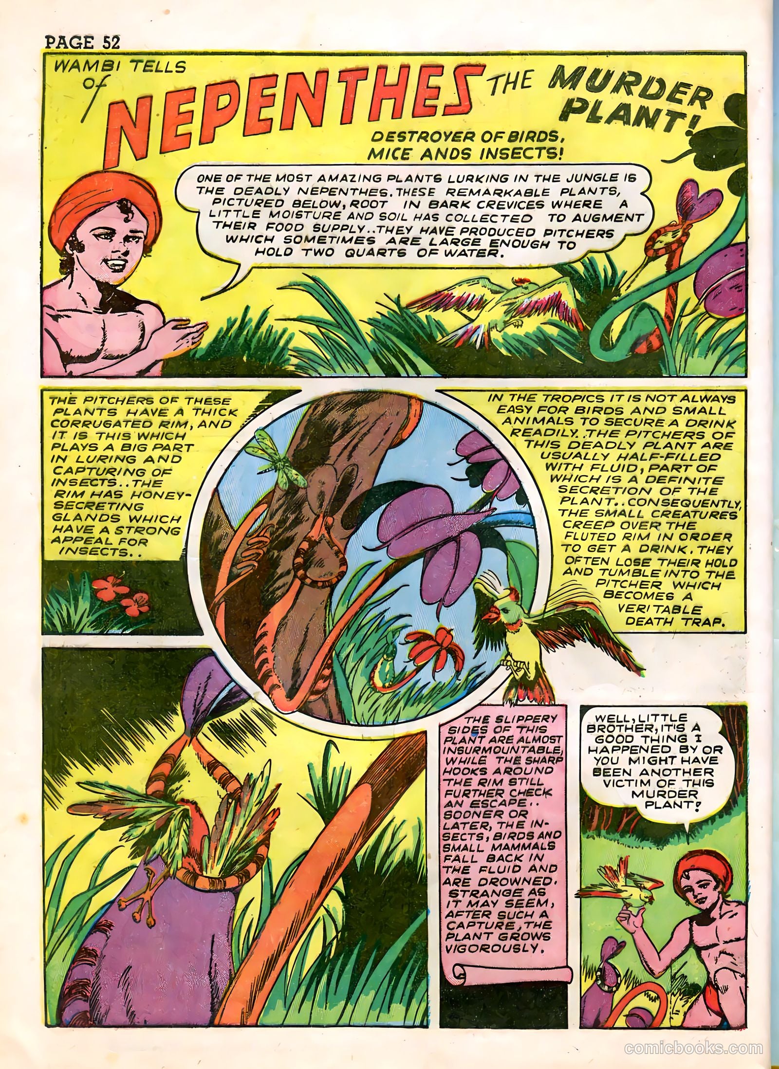 Wambi, Jungle Boy #3 — page 54 of 68