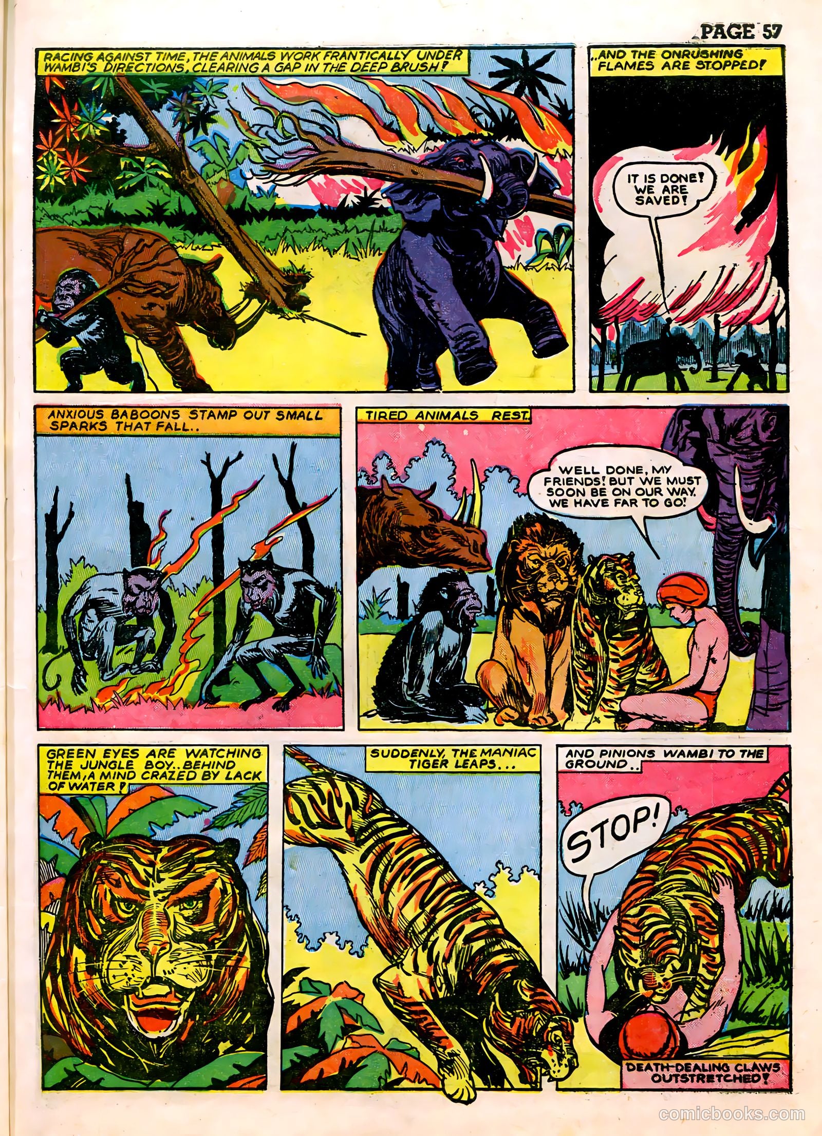 Wambi, Jungle Boy #3 — page 59 of 68