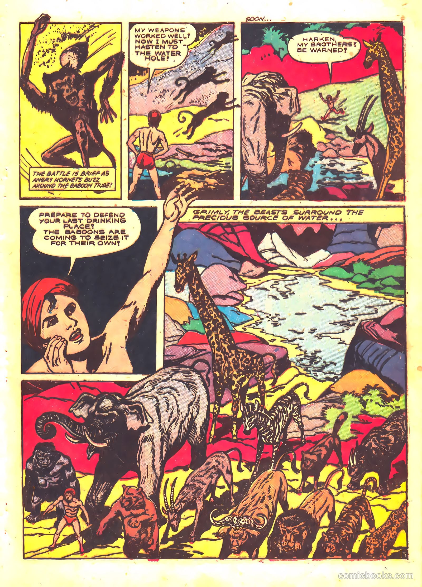 Wambi, Jungle Boy #5 — page 29 of 36