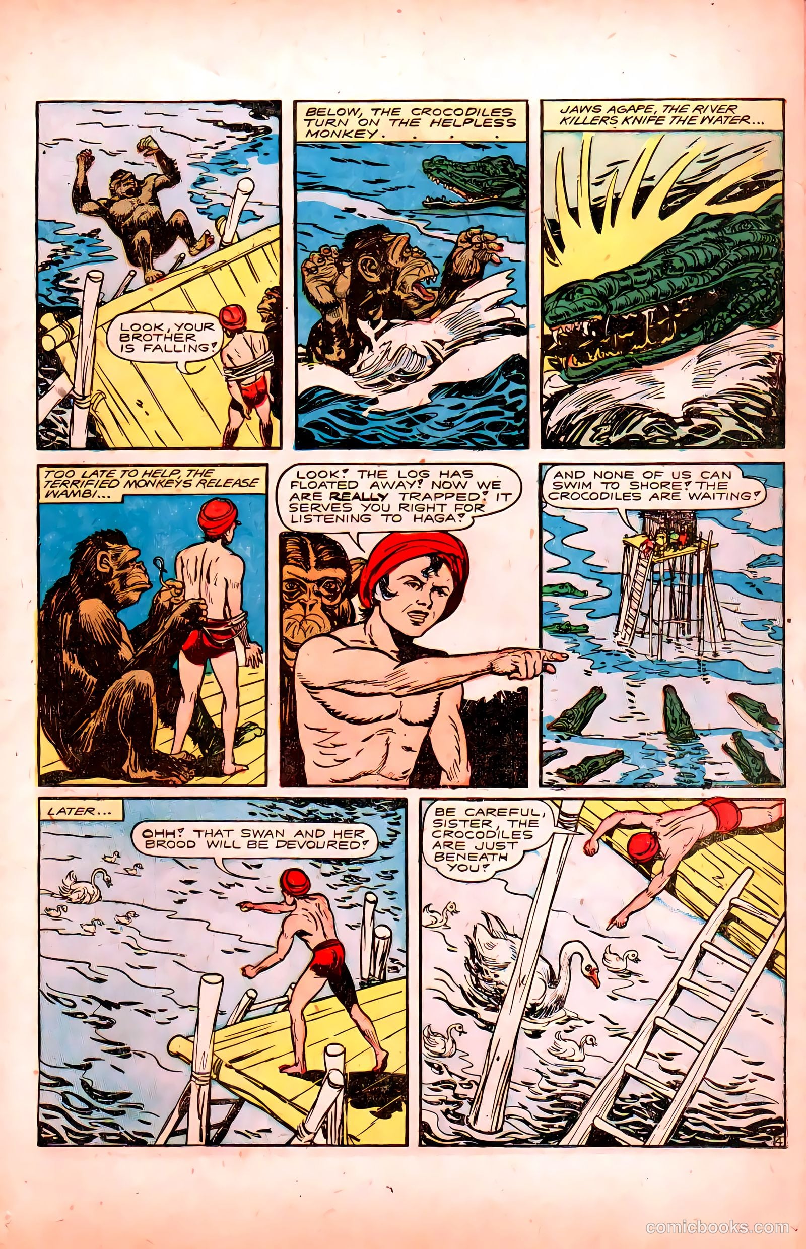 Wambi, Jungle Boy #6 — page 19 of 52