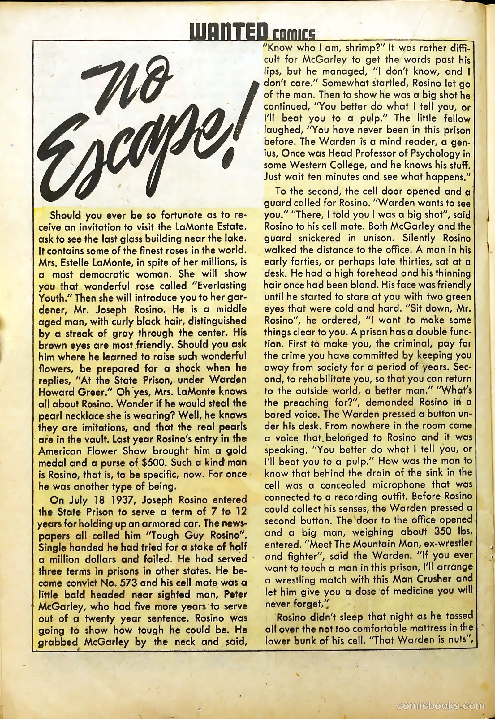 Wanted Comics #19 — page 28 of 53