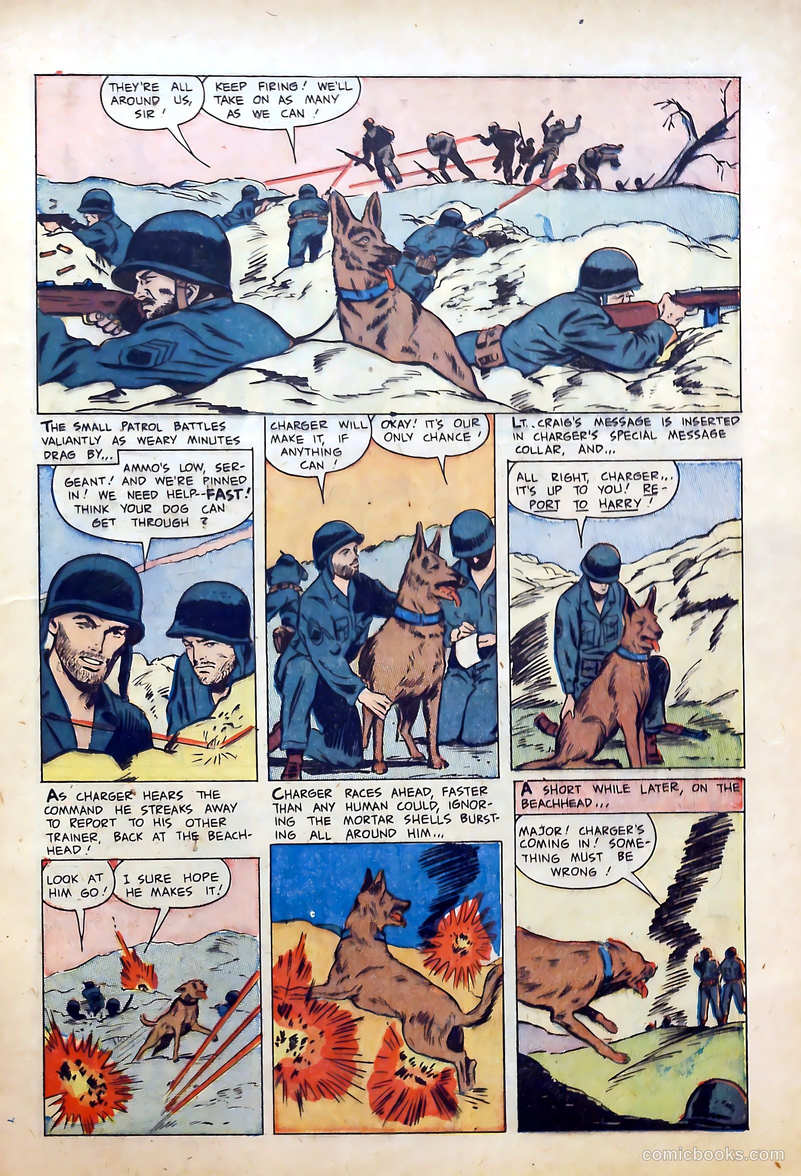 War Dogs of the U.S. Army #1 — page 13 of 36