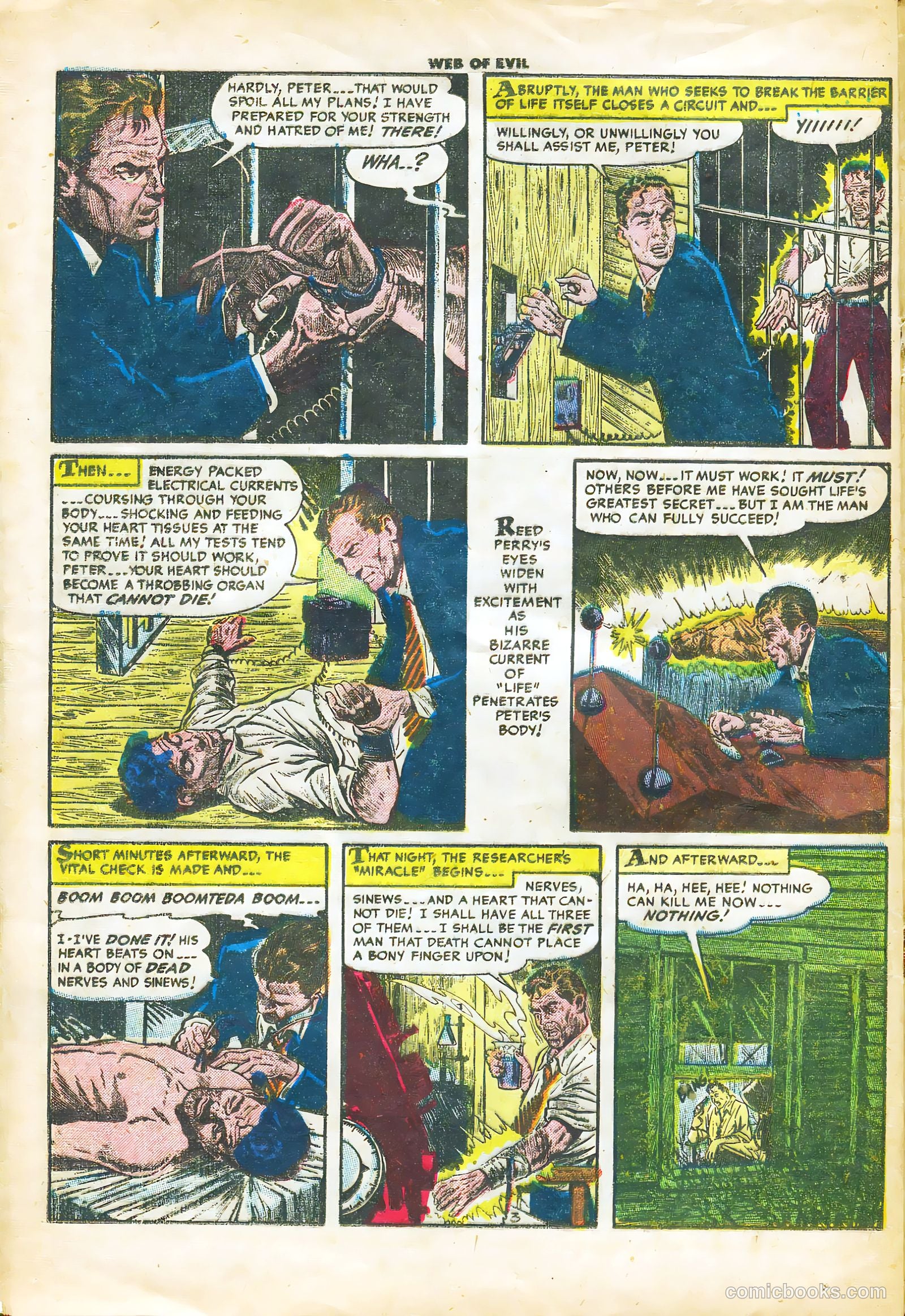 Web of Evil #17 — page 14 of 36