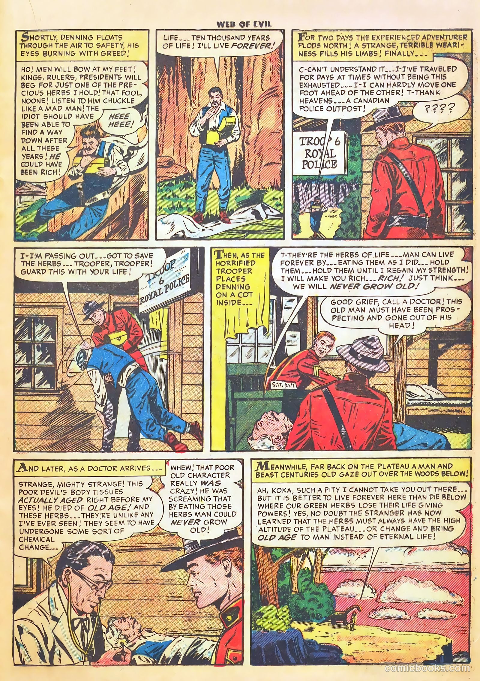 Web of Evil #21 — page 17 of 37