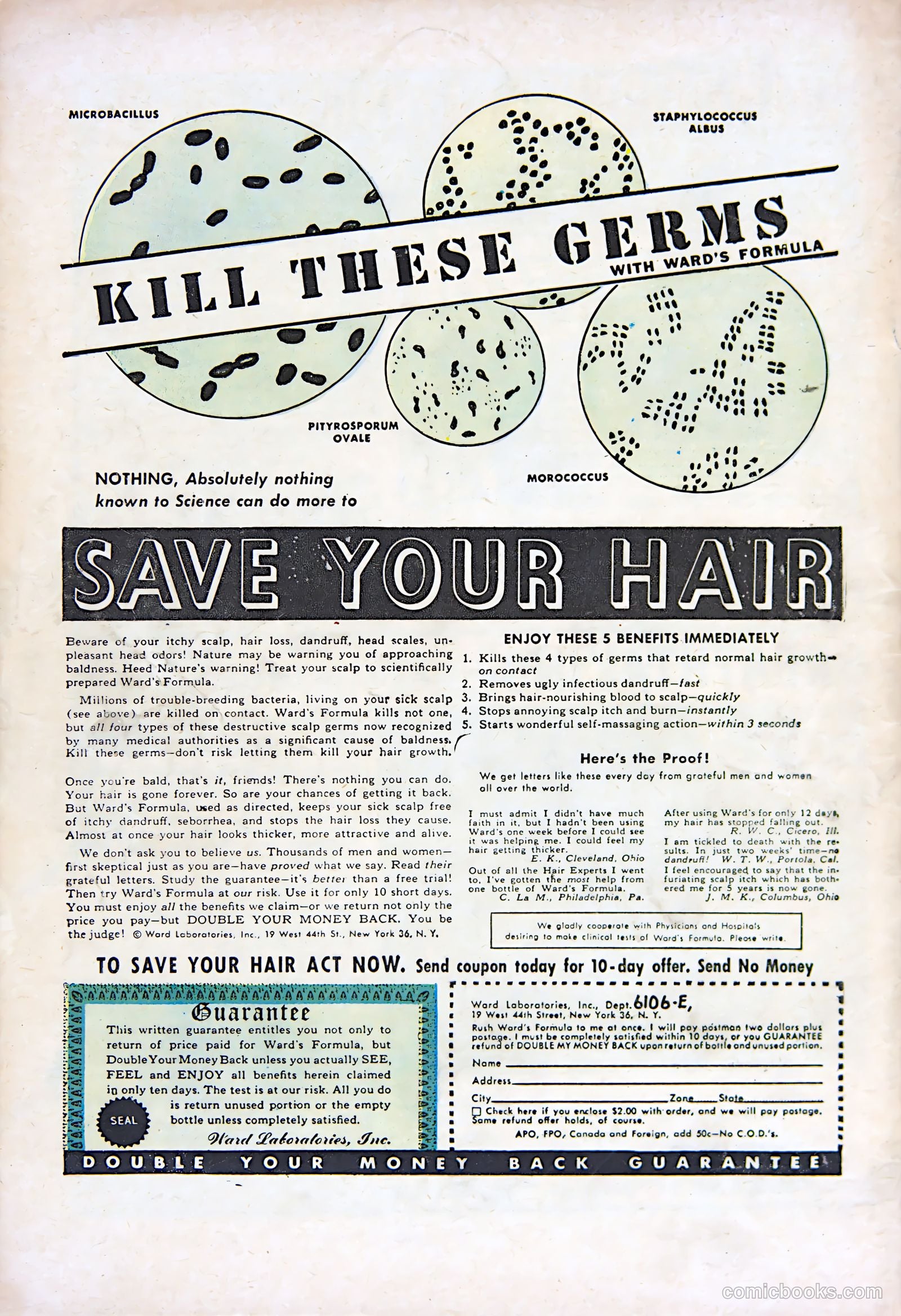 Weird Mysteries #12 — page 36 of 36