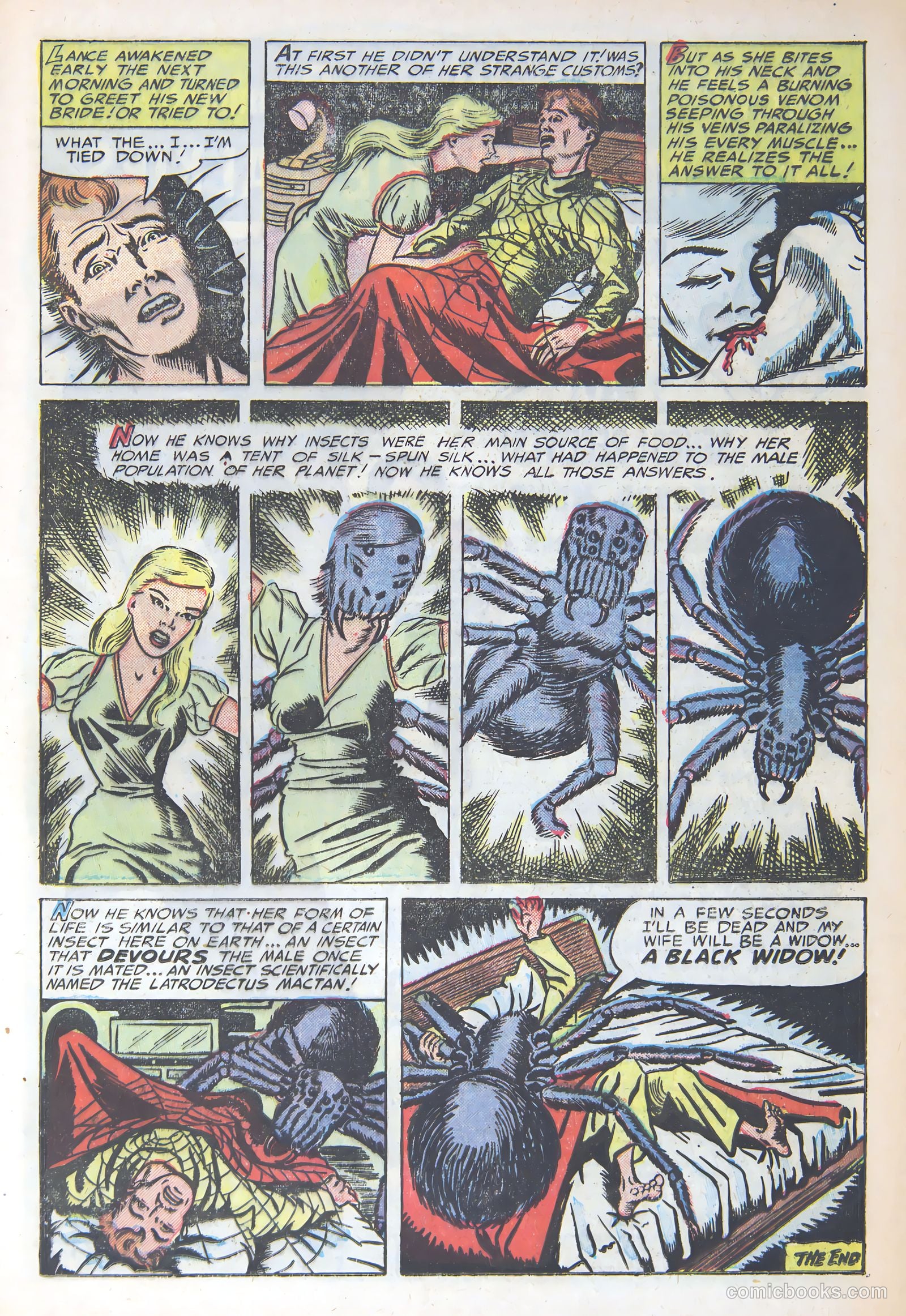 Weird Mysteries #7 — page 13 of 36