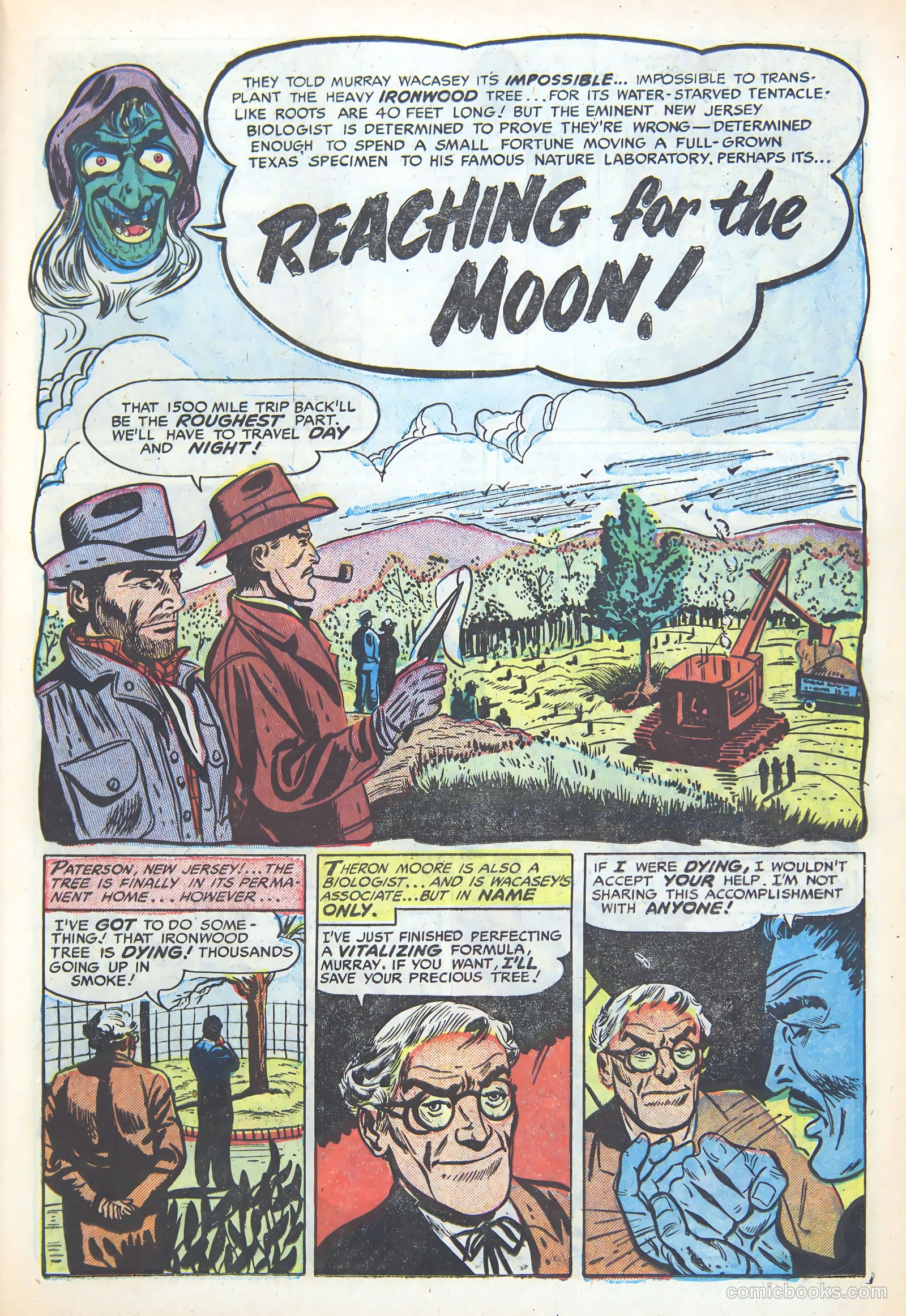 Weird Mysteries #7 — page 15 of 36