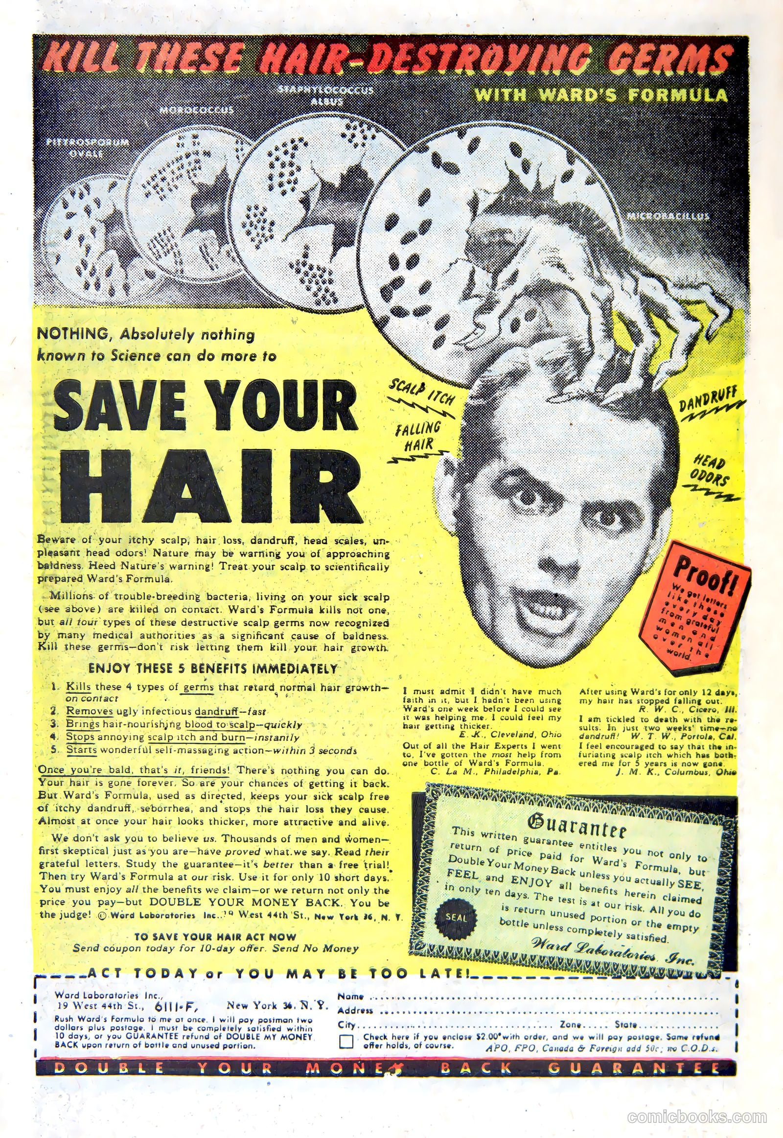 Weird Mysteries #8 — page 34 of 36