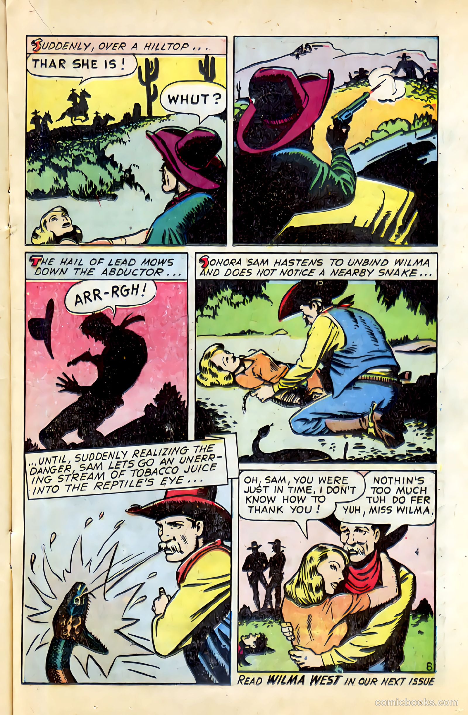 Western Crime Busters #1 — page 17 of 36