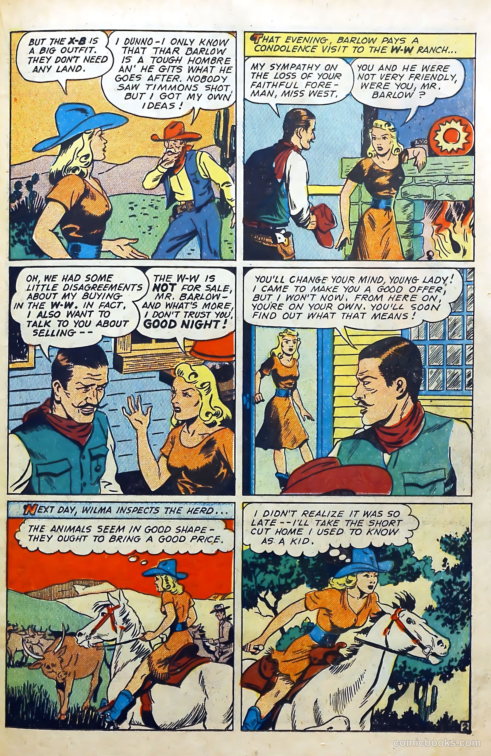 Western Crime Busters #5 — page 19 of 36