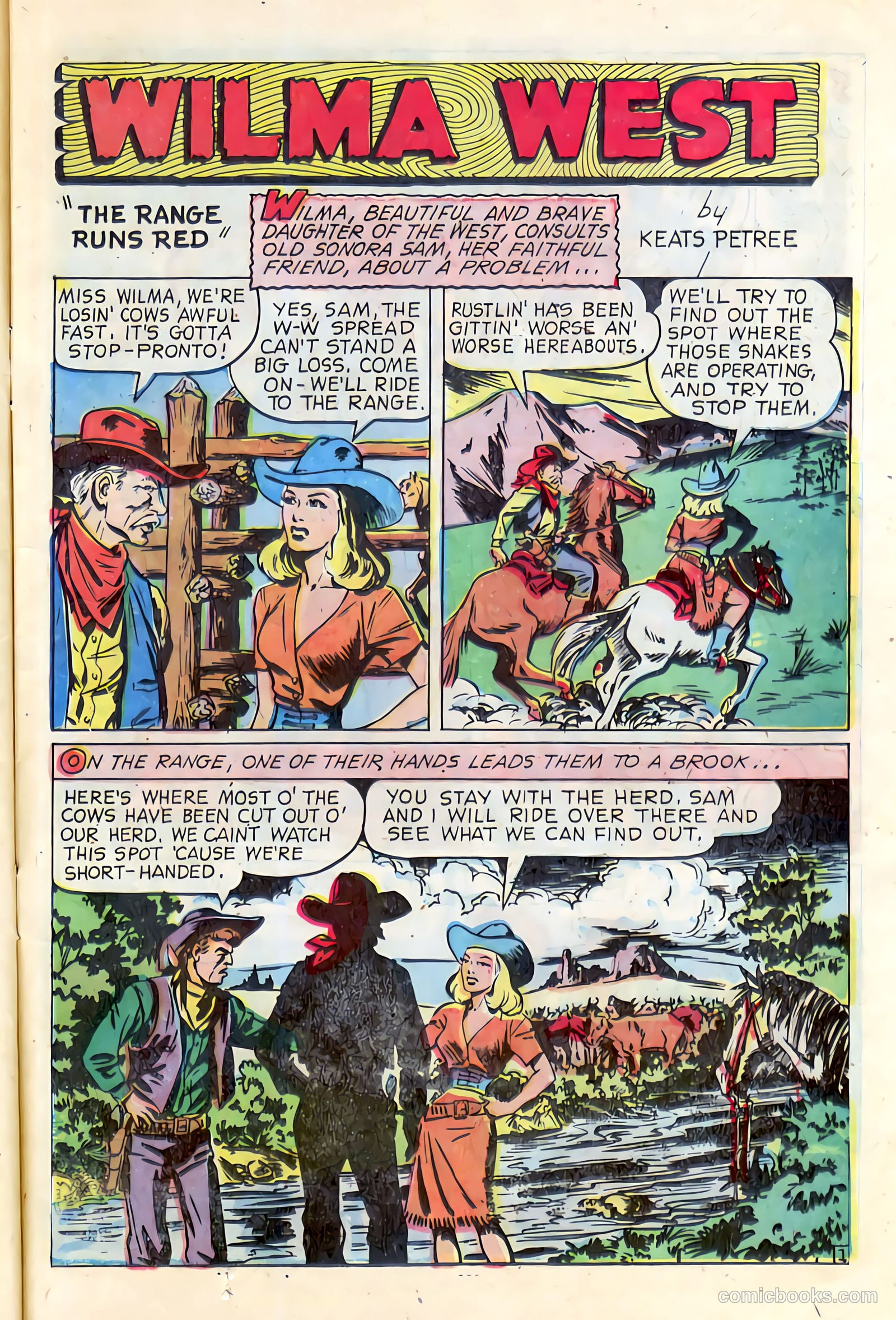 Western Crime Busters #8 — page 11 of 36