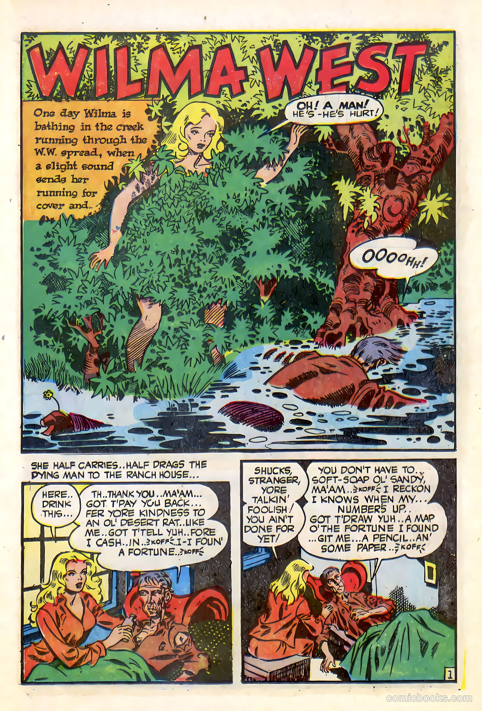 Western Crime Busters #9 — page 19 of 36