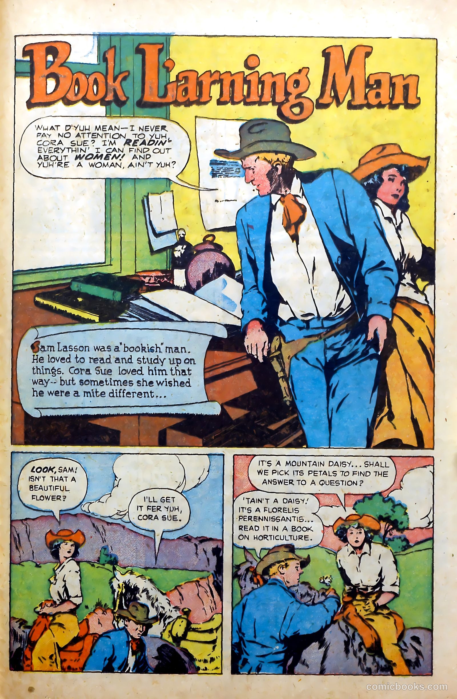 Western Frontier #1 — page 29 of 36