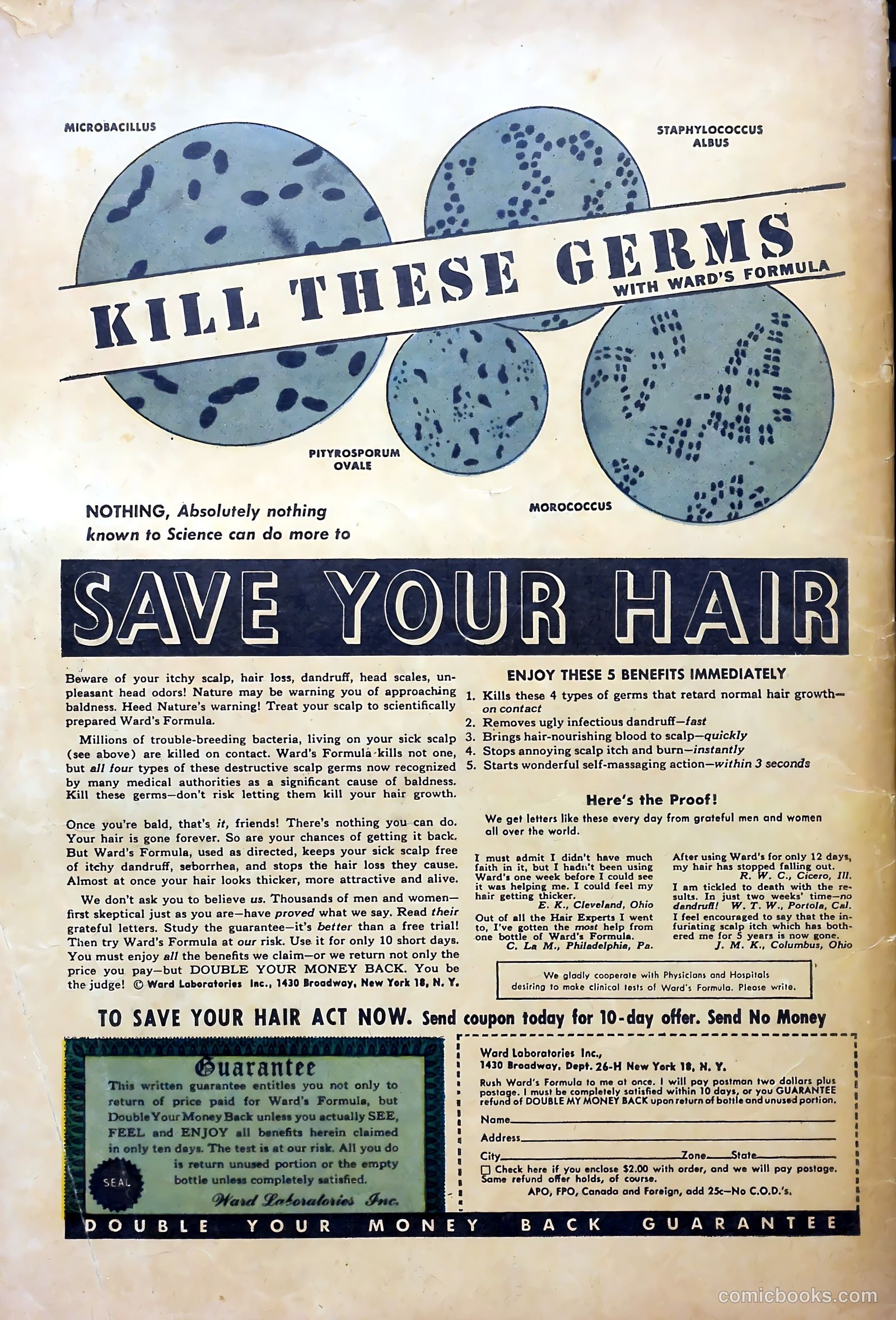 Western Frontier #3 — page 36 of 36