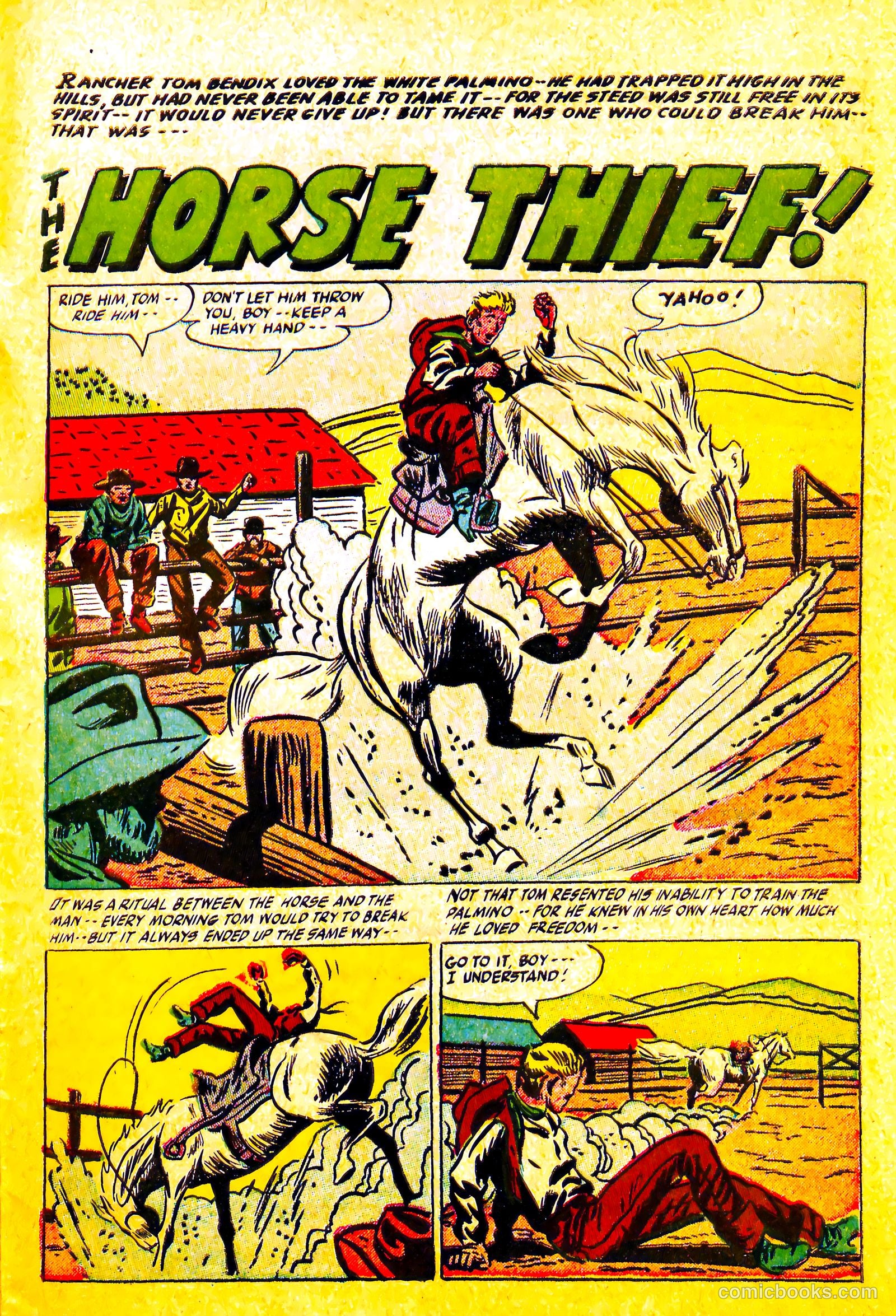 Western Rough Riders #1 — page 27 of 36
