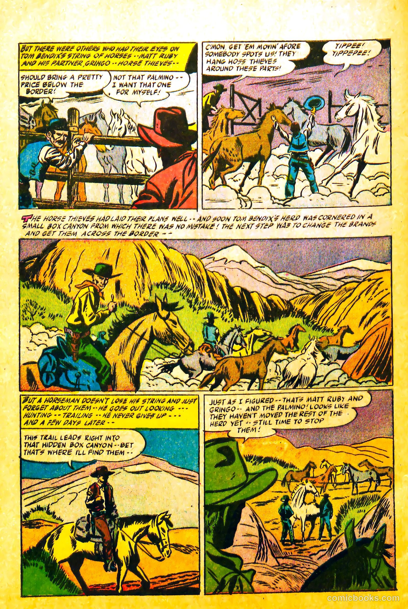 Western Rough Riders #1 — page 28 of 36