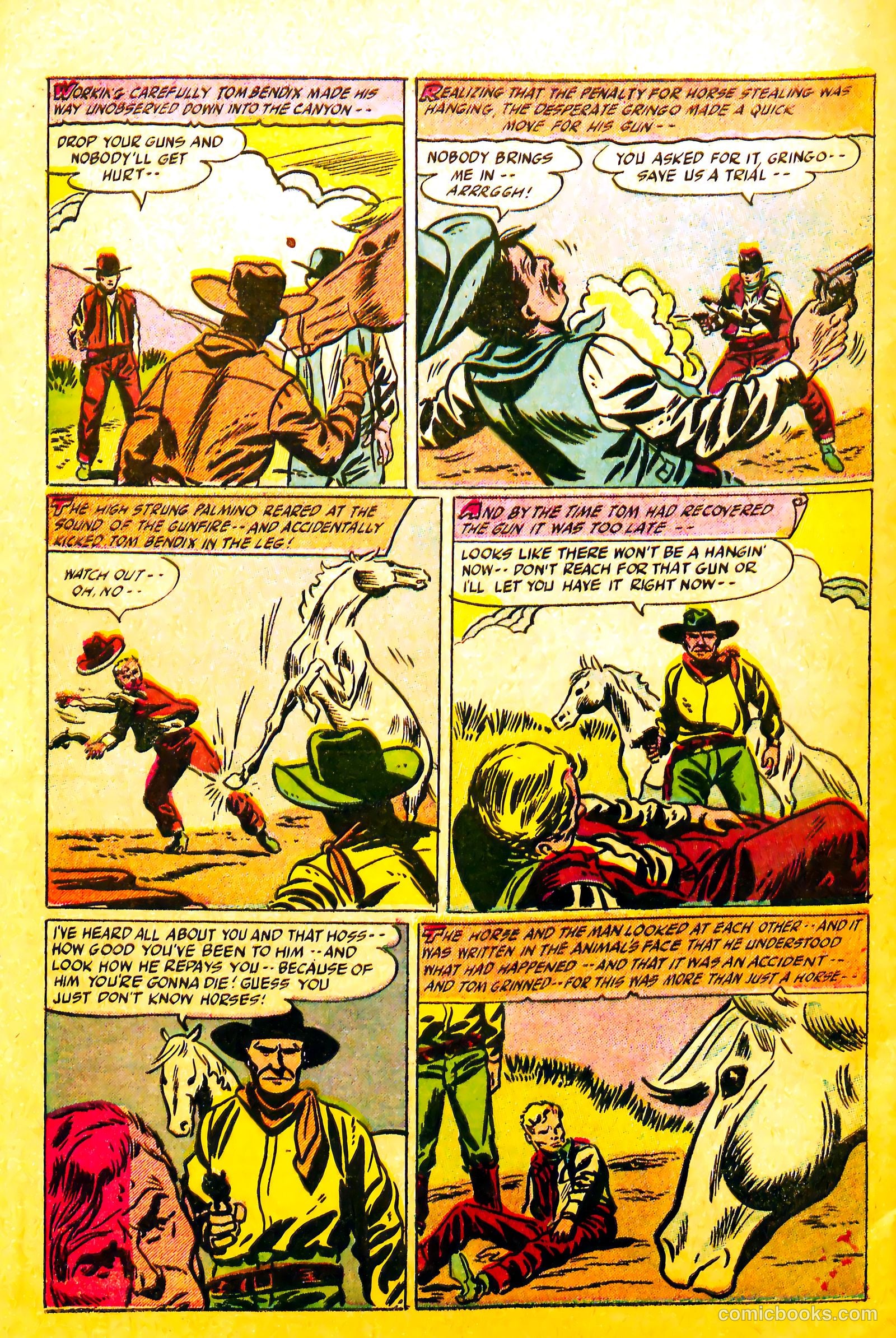 Western Rough Riders #1 — page 30 of 36