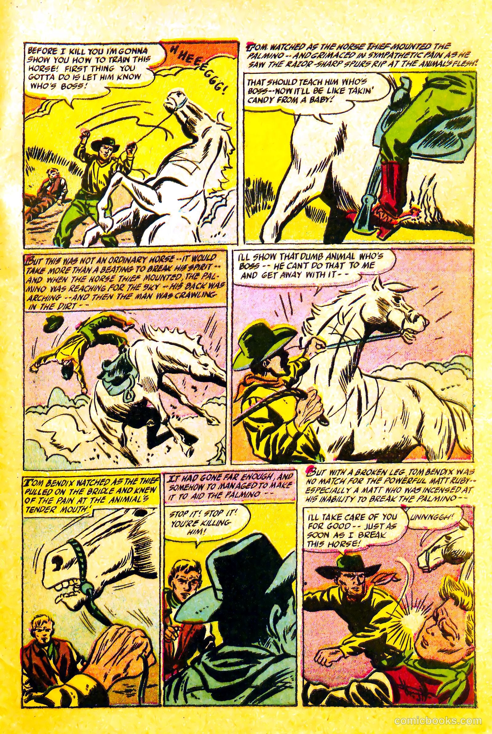 Western Rough Riders #1 — page 31 of 36