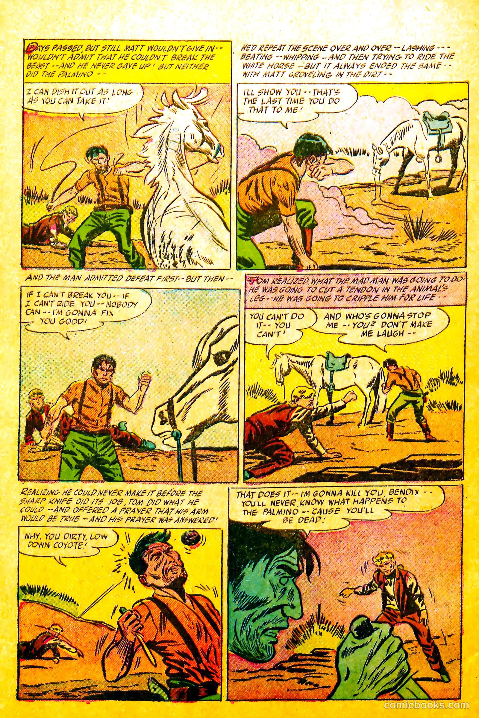 Western Rough Riders #1 — page 32 of 36