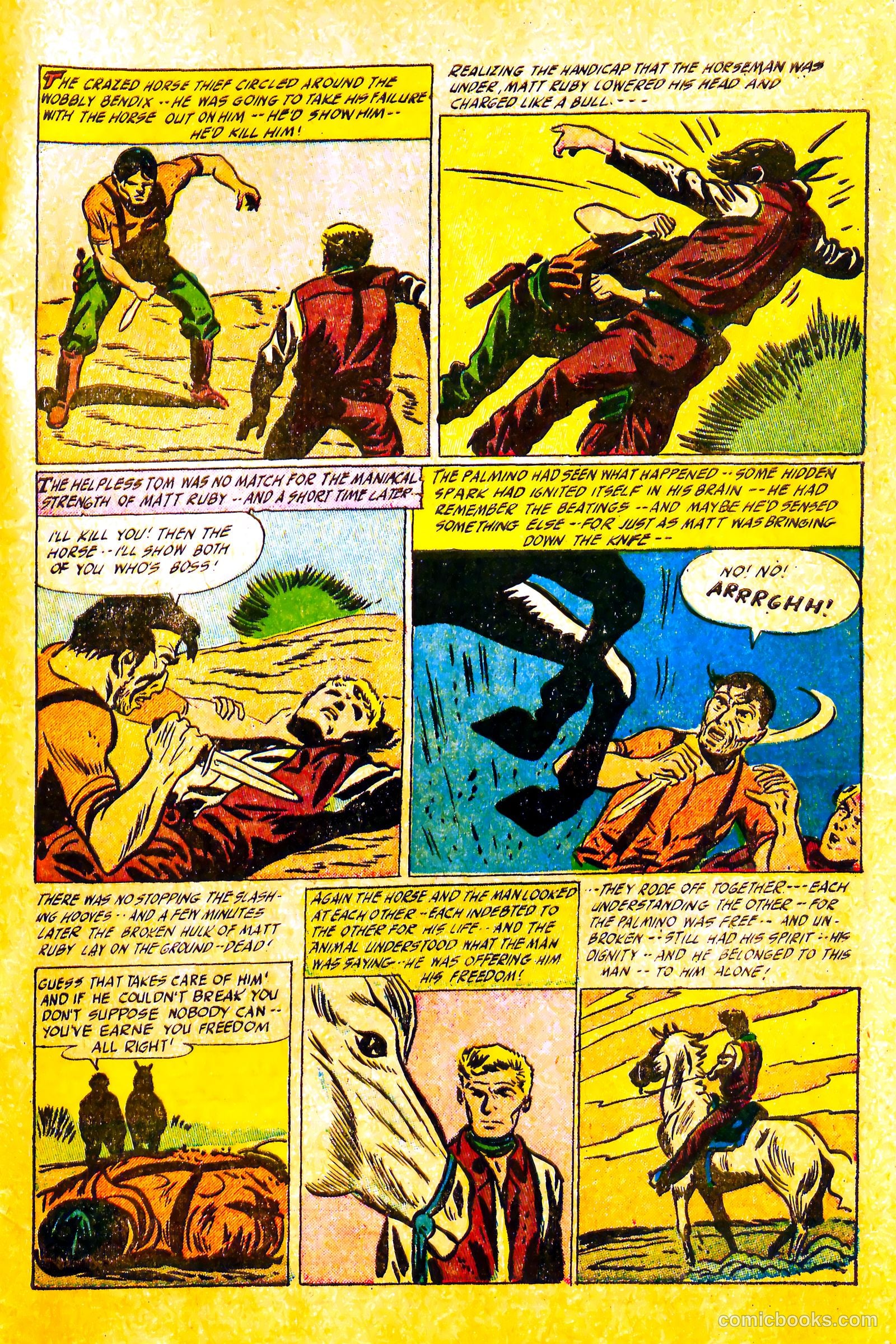 Western Rough Riders #1 — page 33 of 36
