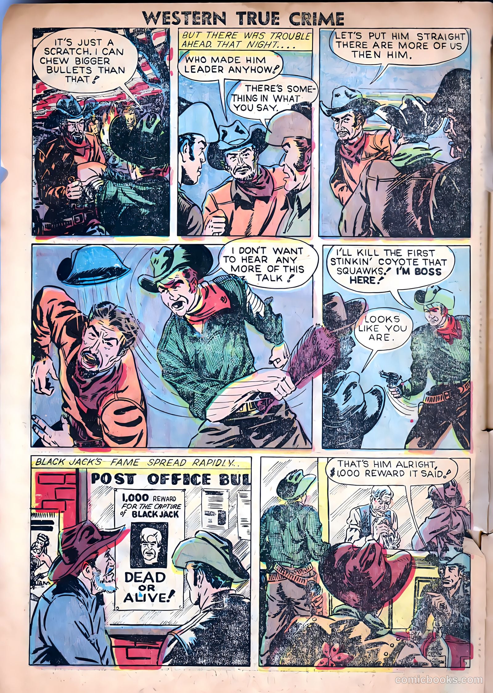 Western True Crime #16 — page 8 of 38