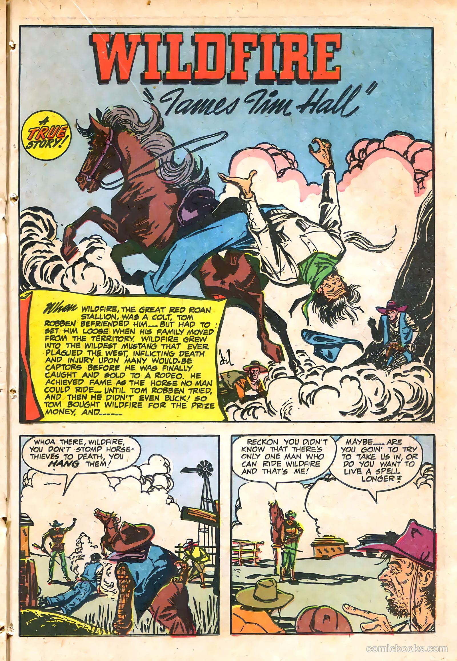 Westerner #15 — page 27 of 46