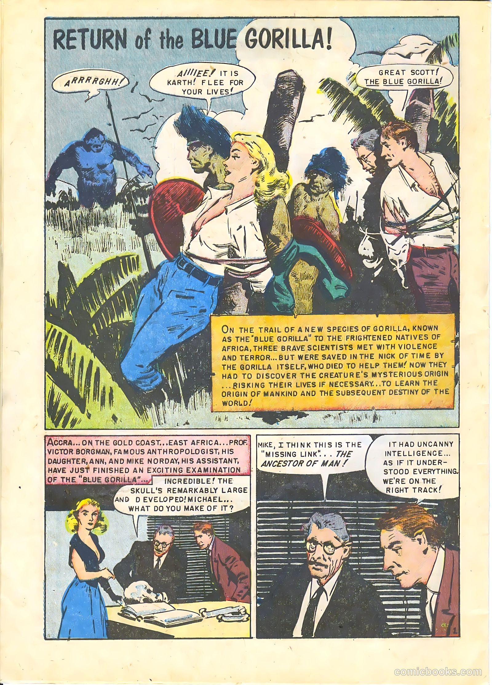 White Princess of the Jungle #5 — page 28 of 37