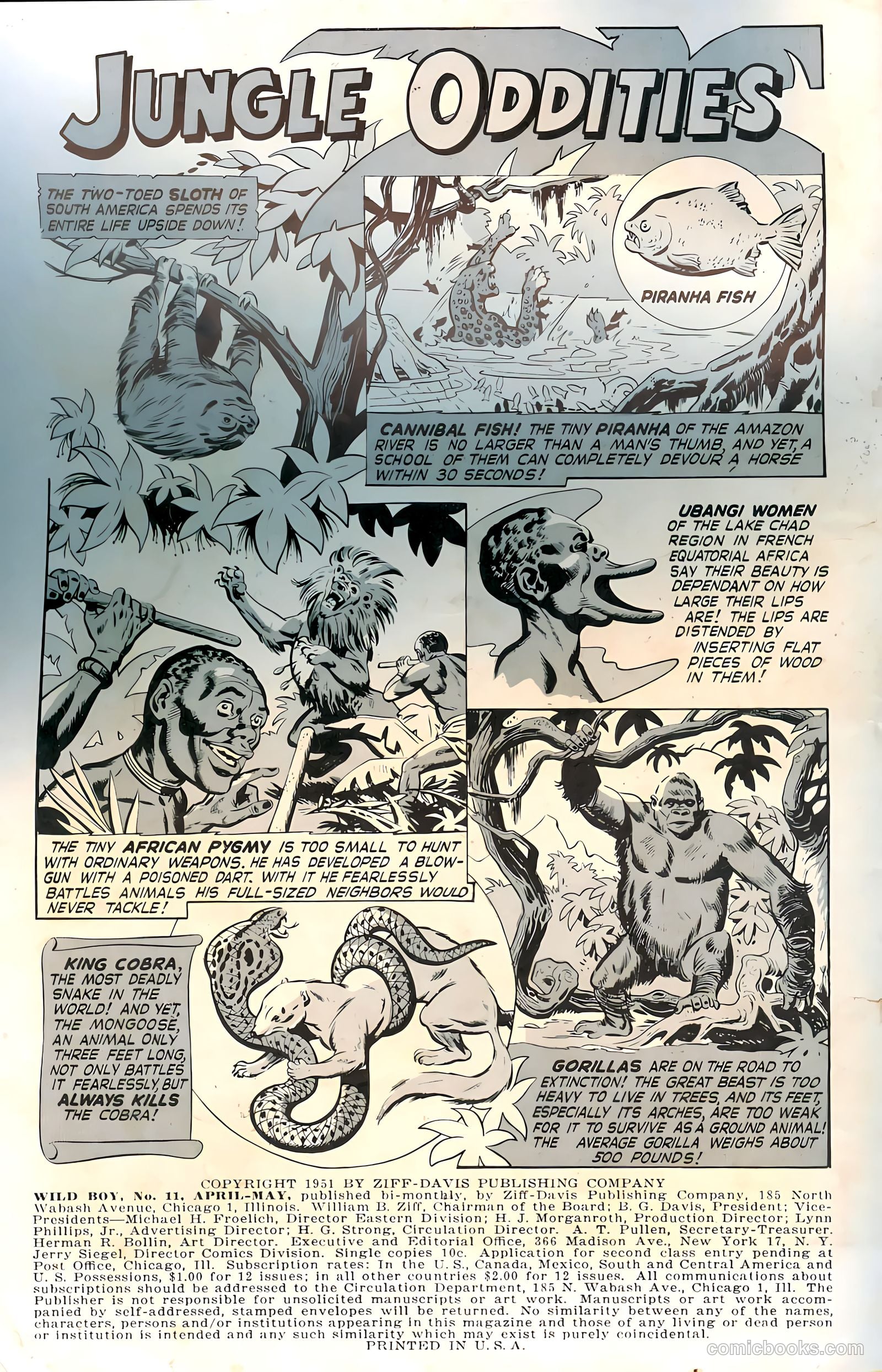 Wild! #11 — page 2 of 36