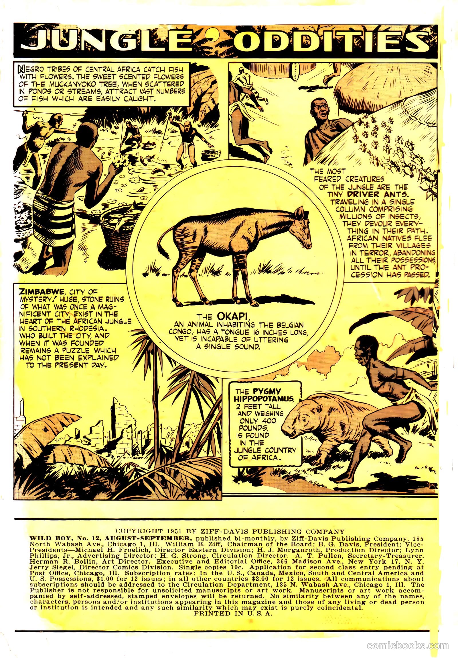Wild! #12 — page 2 of 36