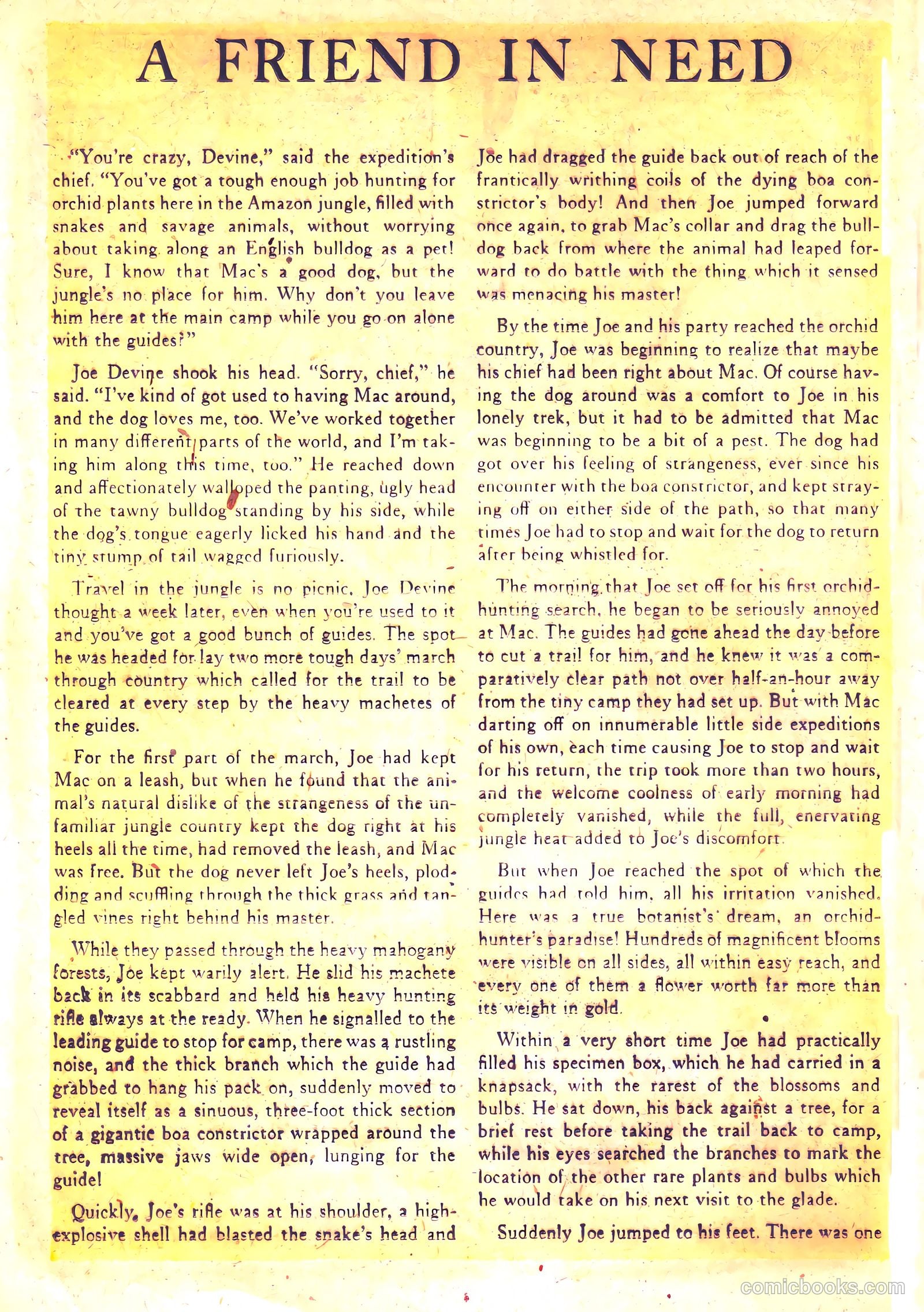 Wild! #12 — page 18 of 36