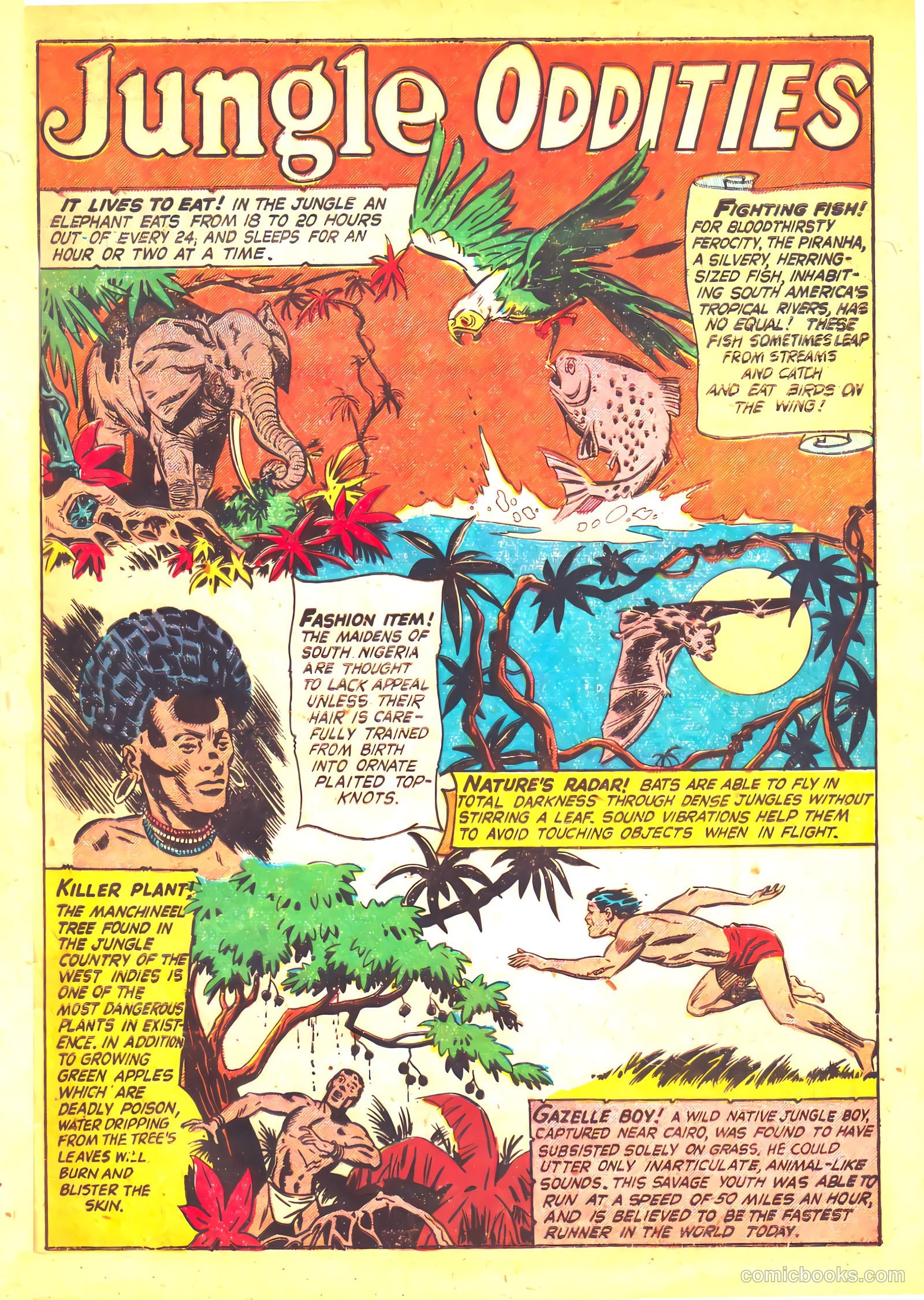 Wild! #12 — page 33 of 36