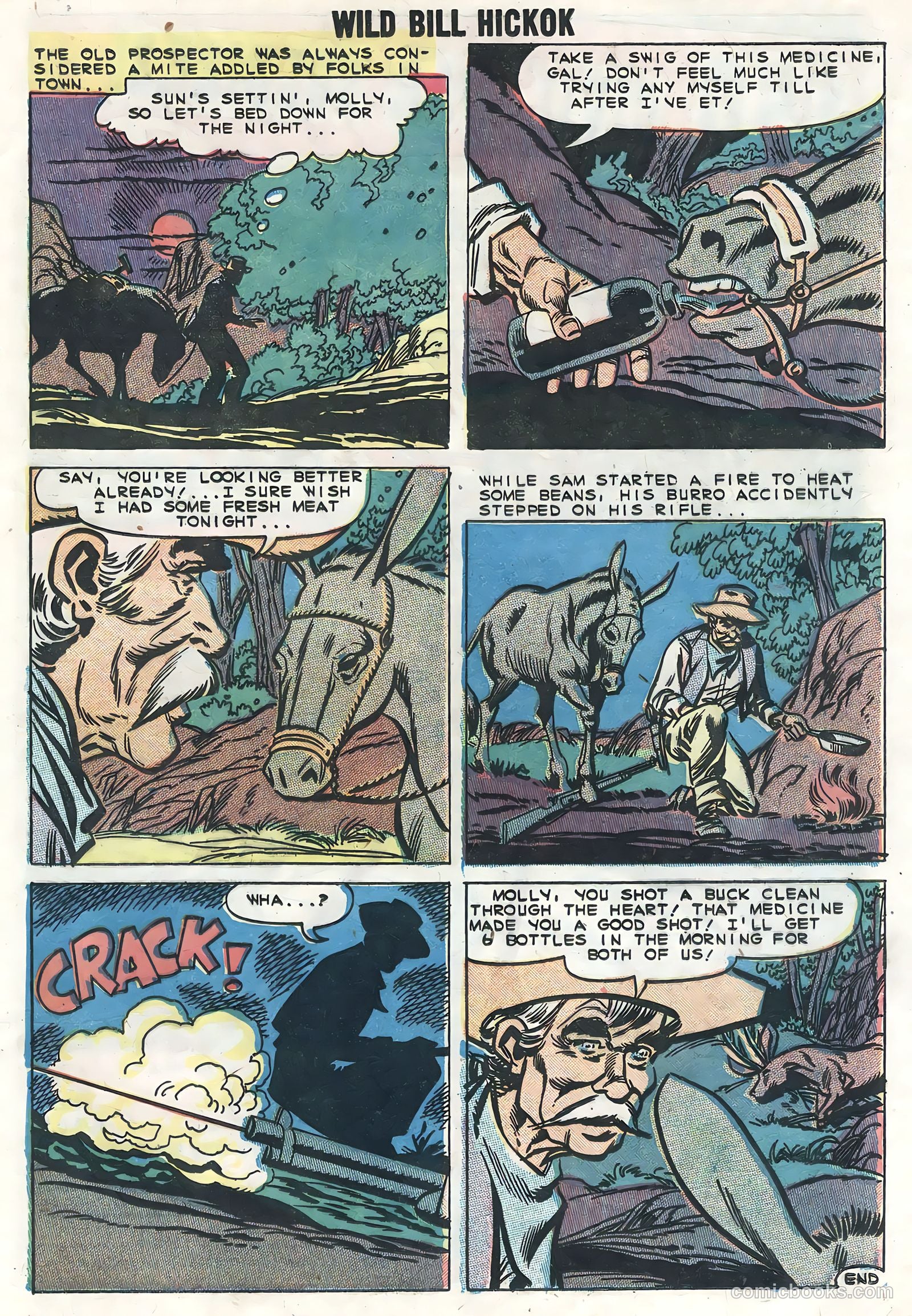 Wild Bill Hickok #3 — page 21 of 36