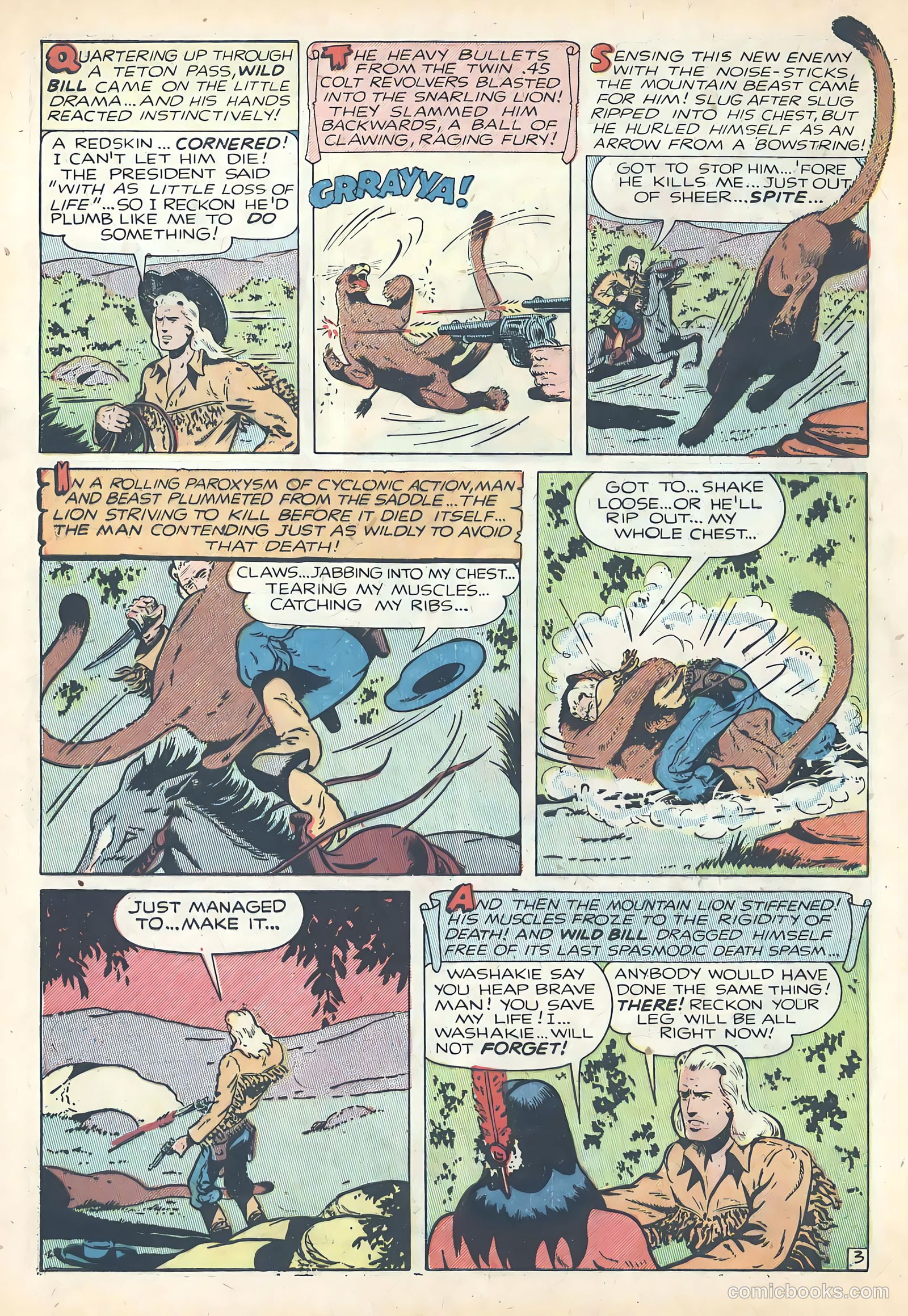 Wild Bill Hickok #5 — page 28 of 36