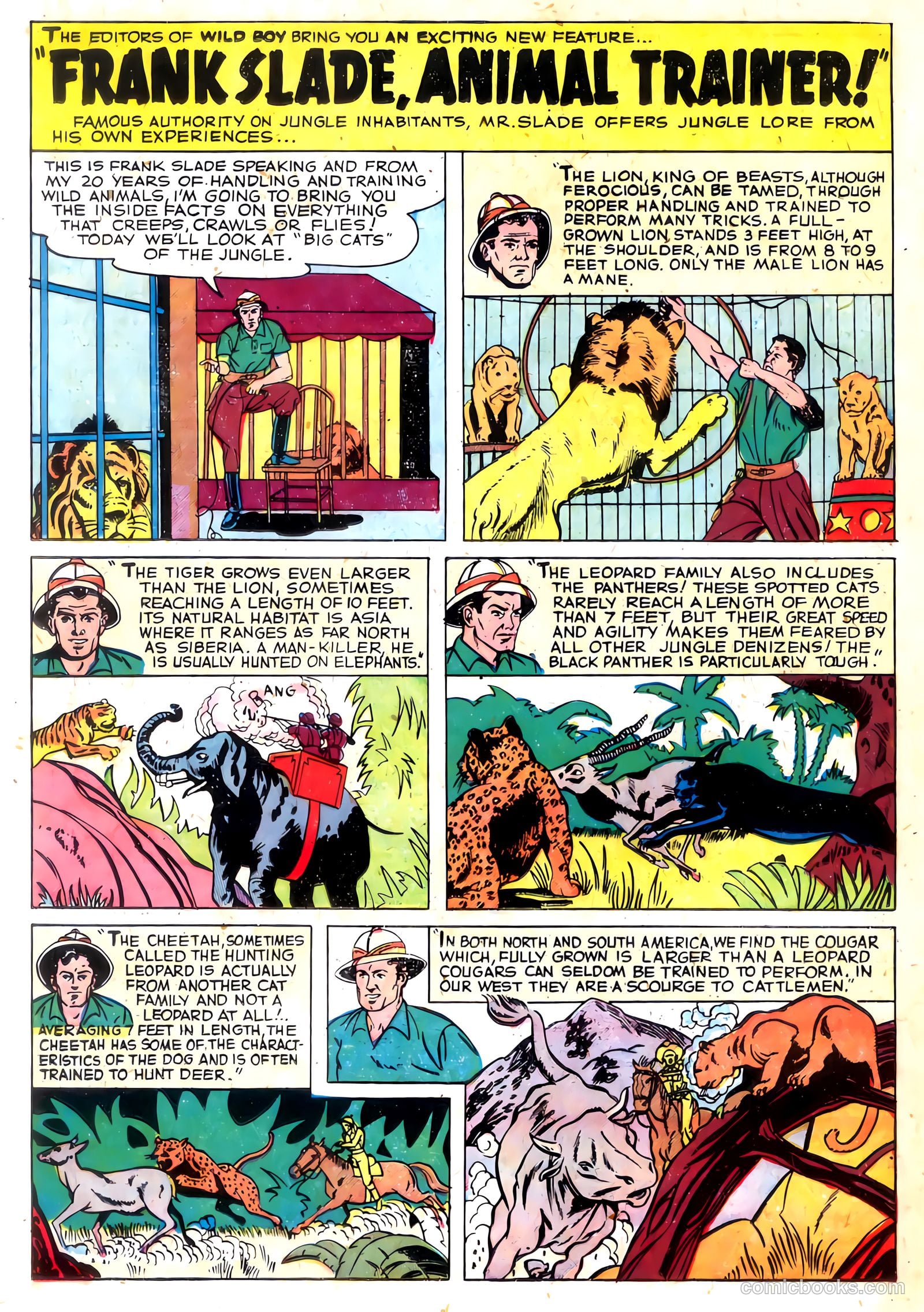 Wild Boy #4 — page 20 of 36