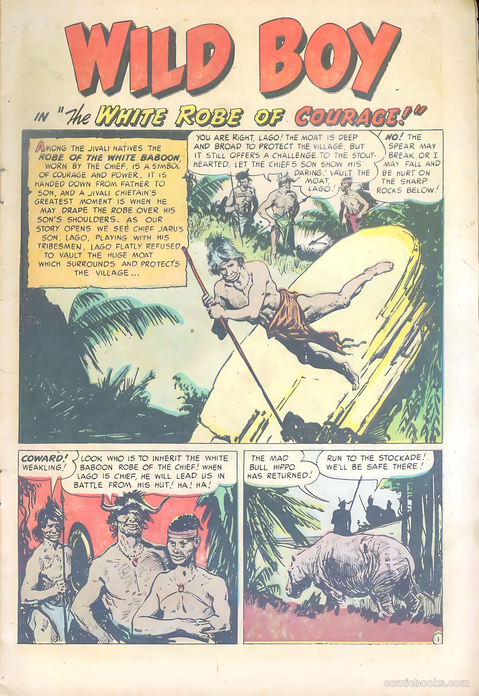 Wild Boy #5 — page 9 of 36