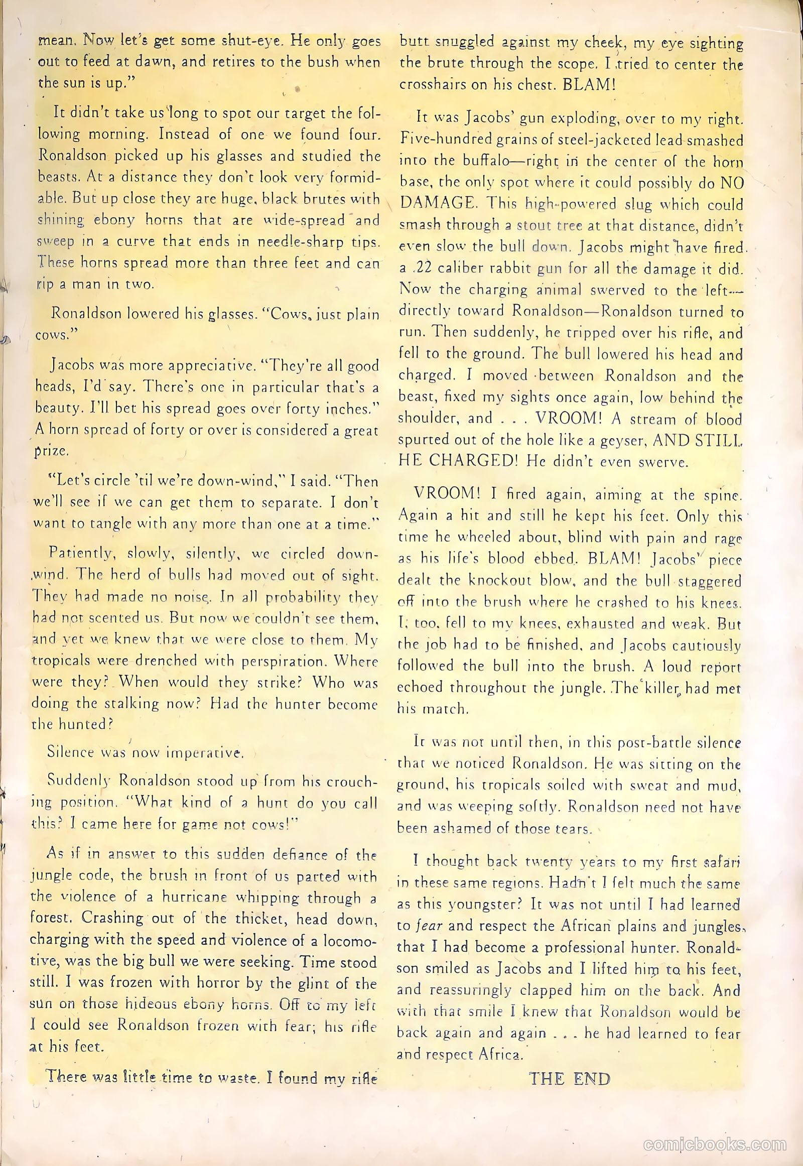 Wild Boy #5 — page 17 of 36